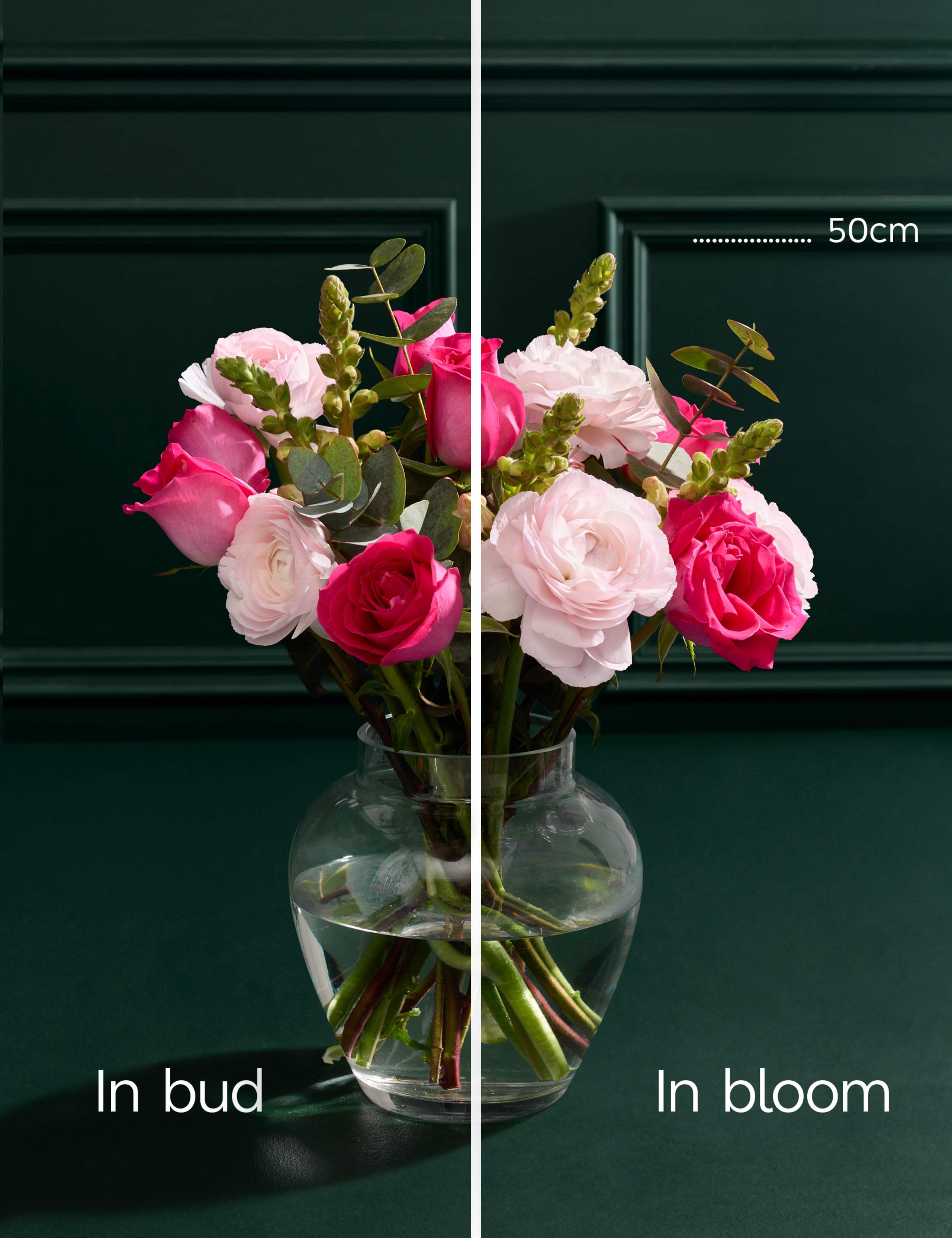 Rose, Antirrhinum & Ranunculus Bouquet 5 of 7