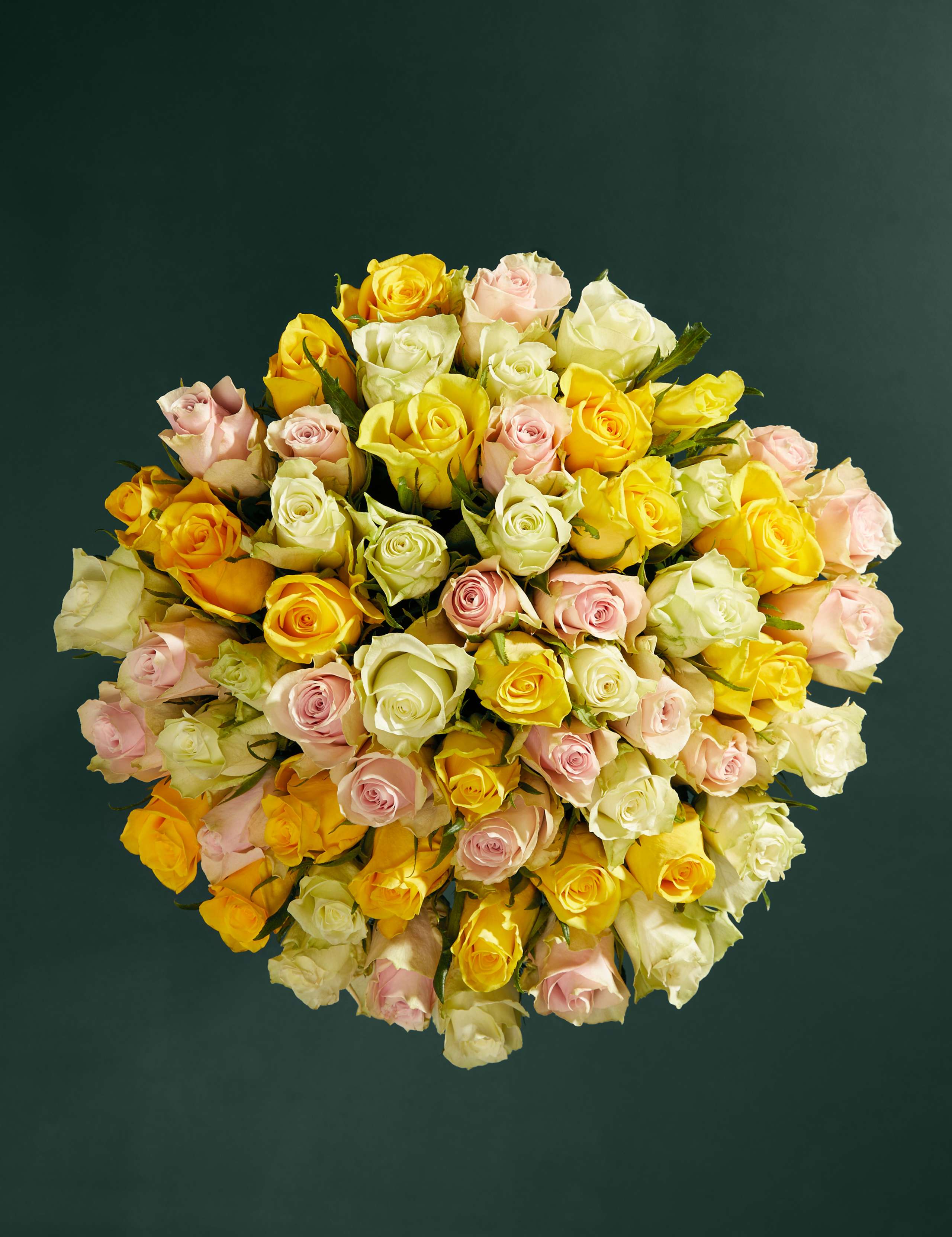 Extra Large Yellow Rose Abundance Bouquet 2 of 6