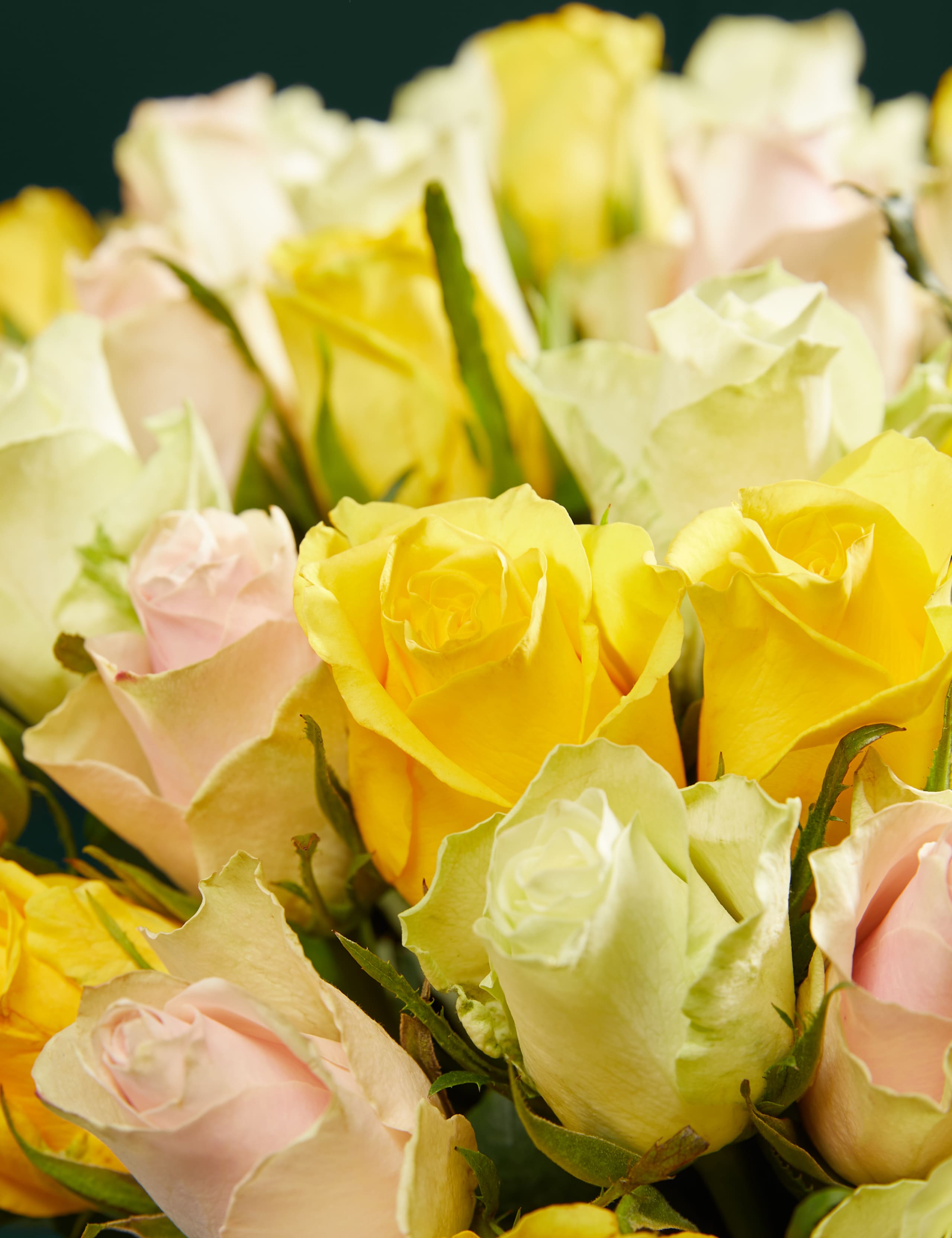 Yellow Rose Abundance Bouquet 3 of 6