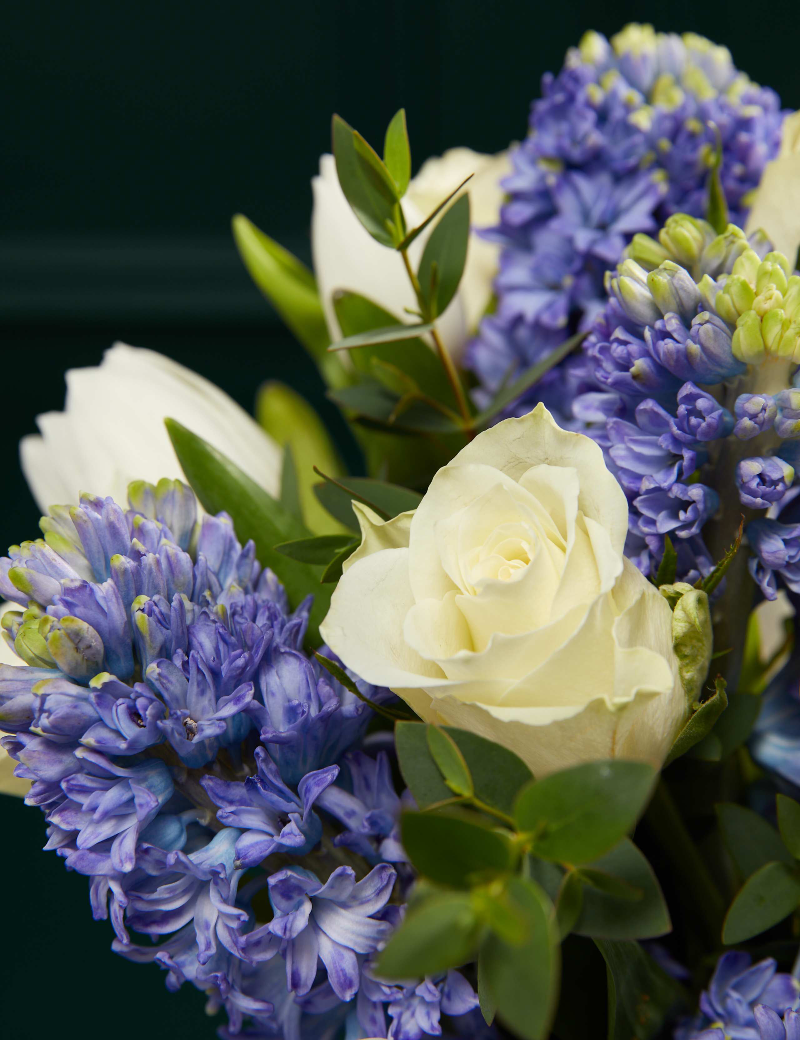 Rose, Tulip & Blue Hyacinth with Vase 3 of 7