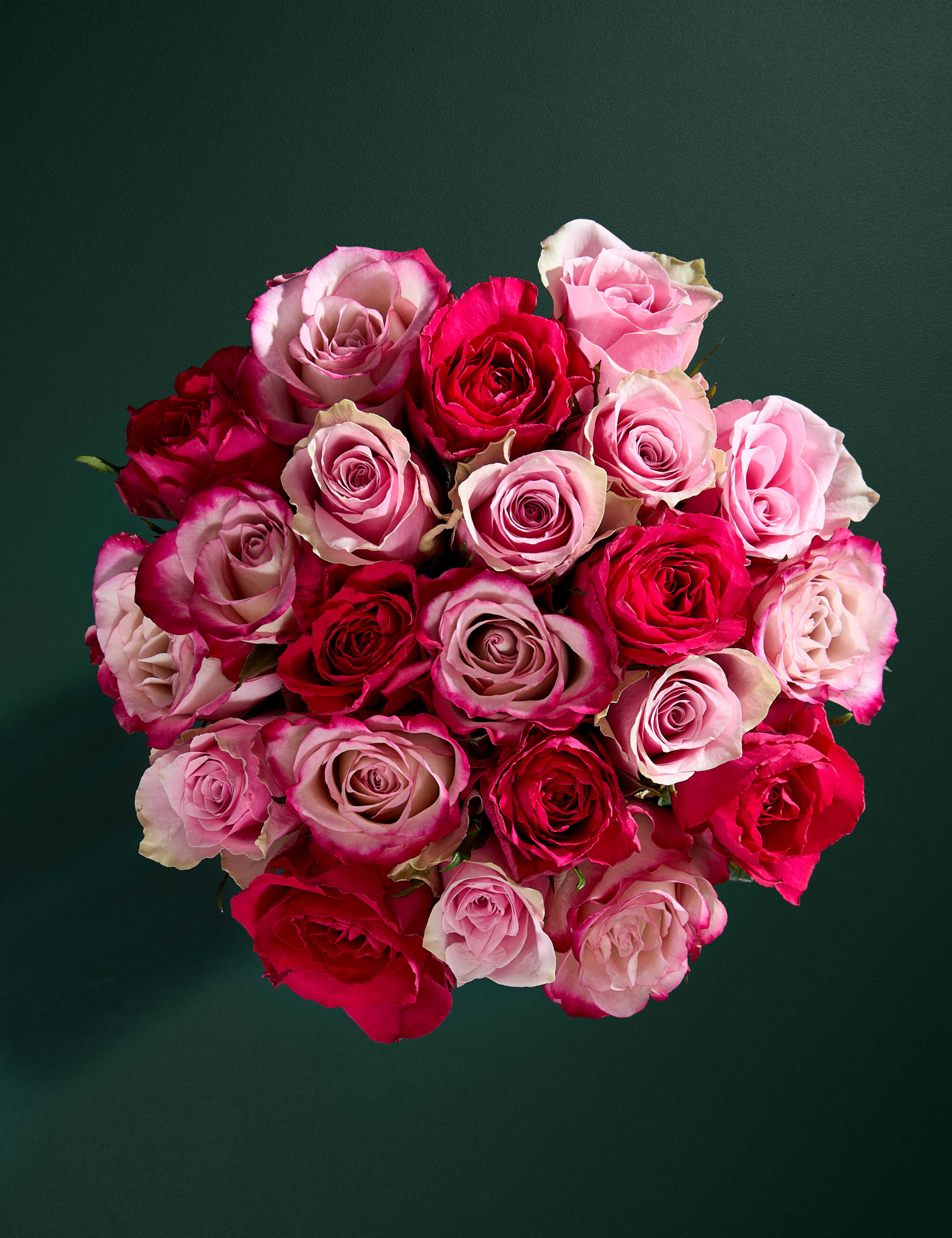 Petite Vibrant Pink Mixed Rose Bouquet 3 of 7