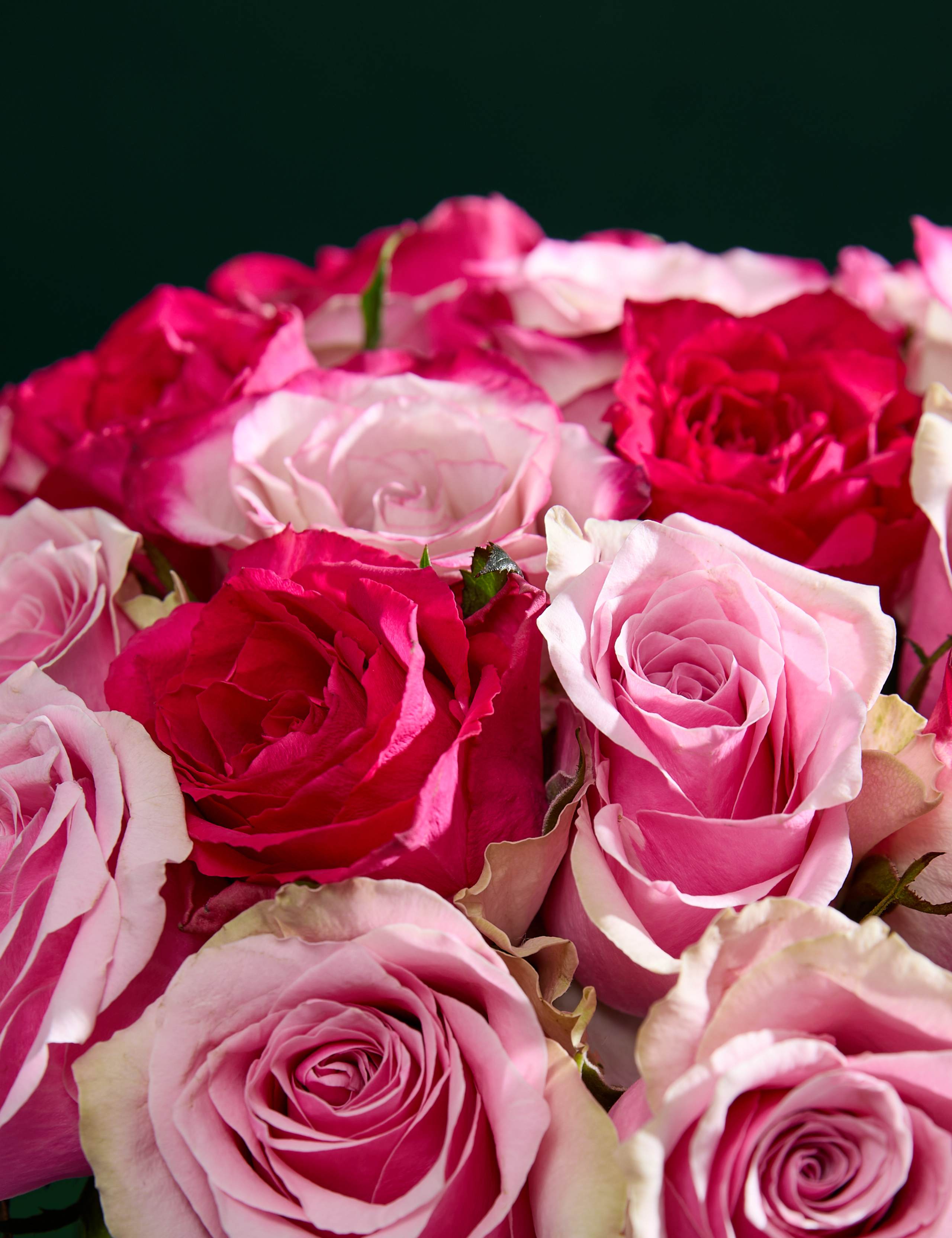 Small Vibrant Pink Mixed Rose Bouquet 4 of 7