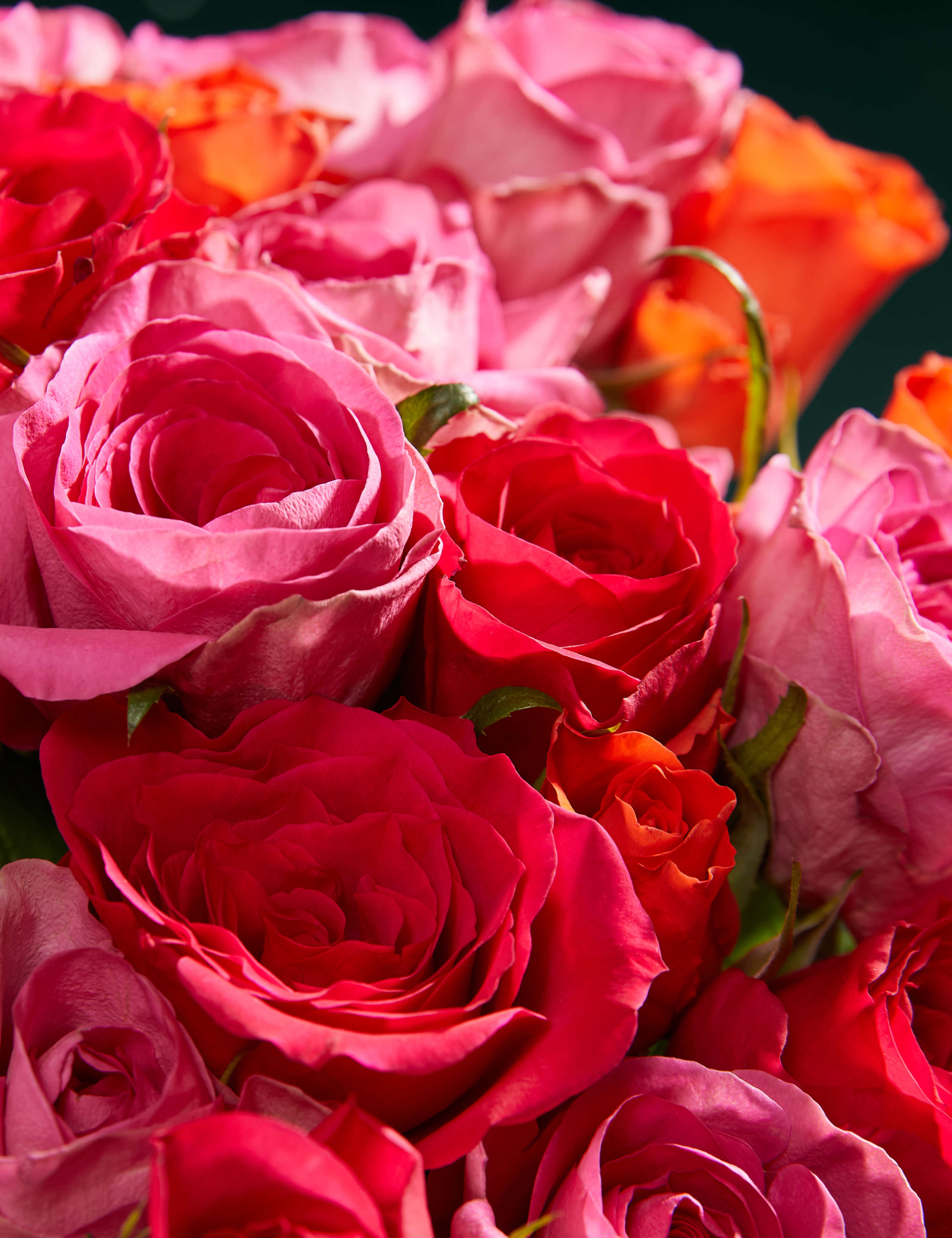 Bright Rose Abundance Bouquet 3 of 6