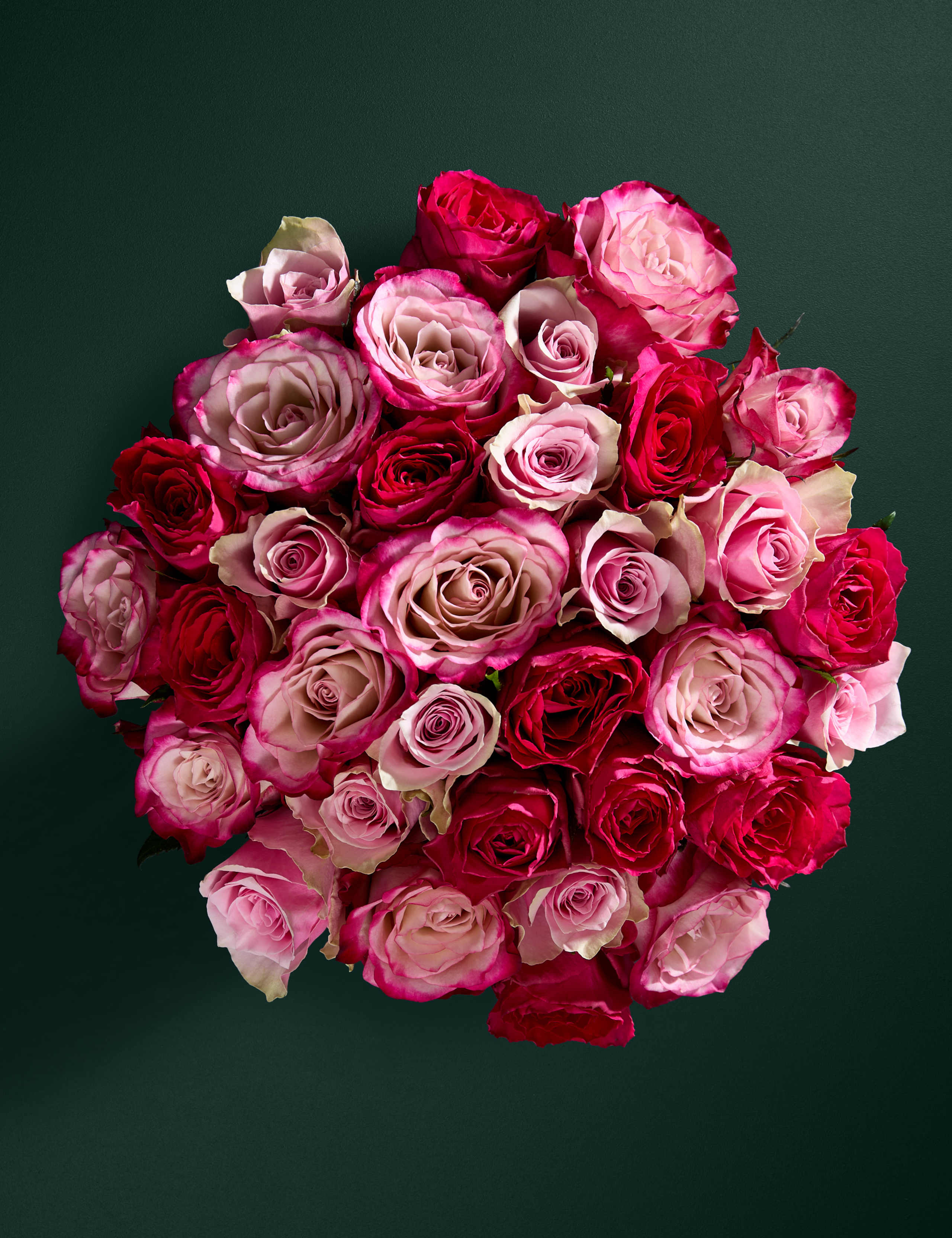 Medium Vibrant Pink Mixed Rose Bouquet 3 of 7