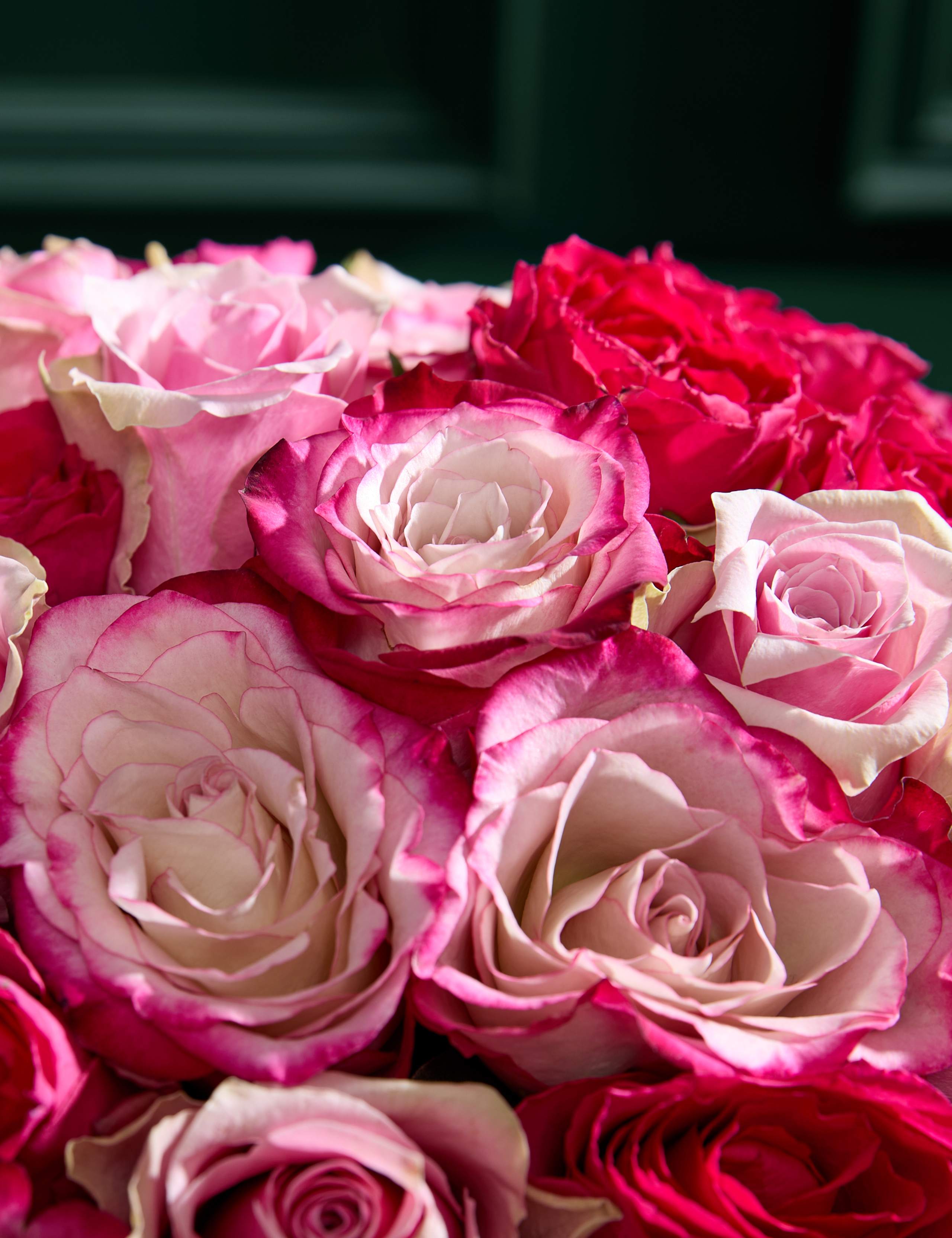 Medium Vibrant Pink Mixed Rose Bouquet 4 of 7