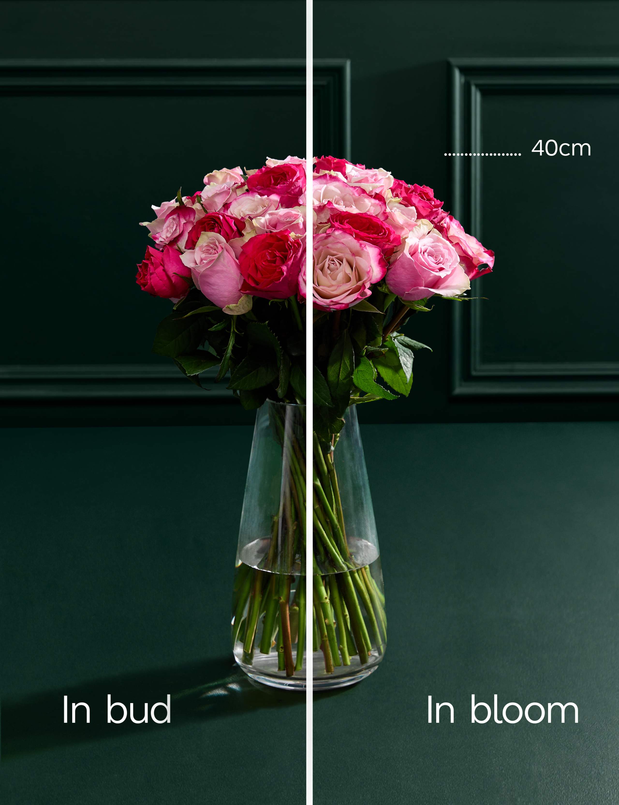 Medium Vibrant Pink Mixed Rose Bouquet 5 of 7