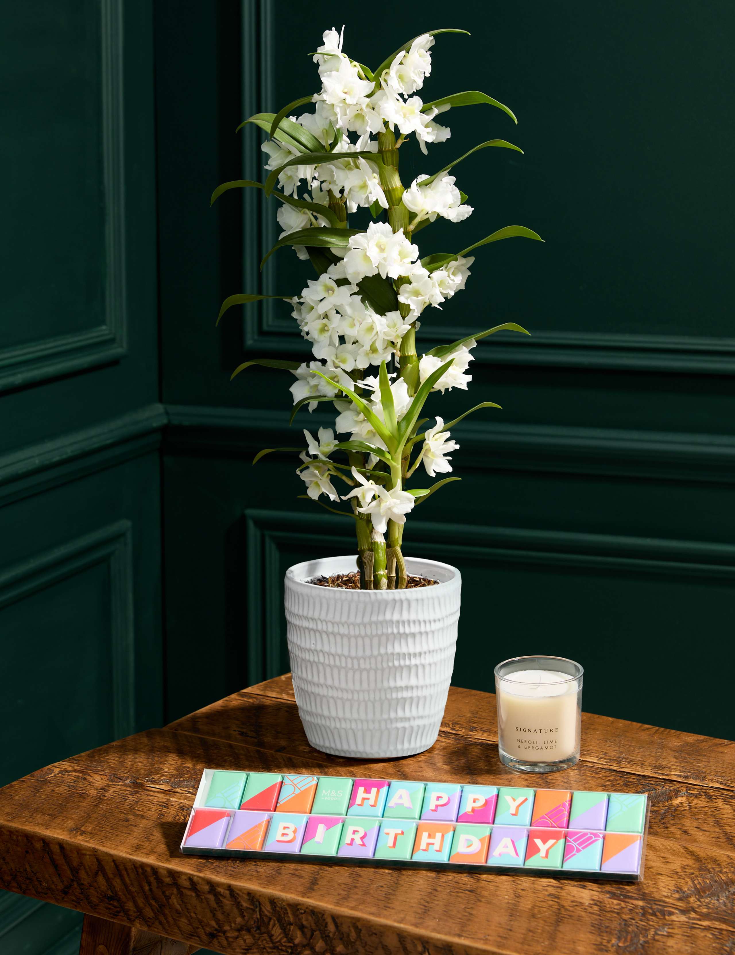 Happy Birthday Orchid with Chocolates & Candle 1 of 7