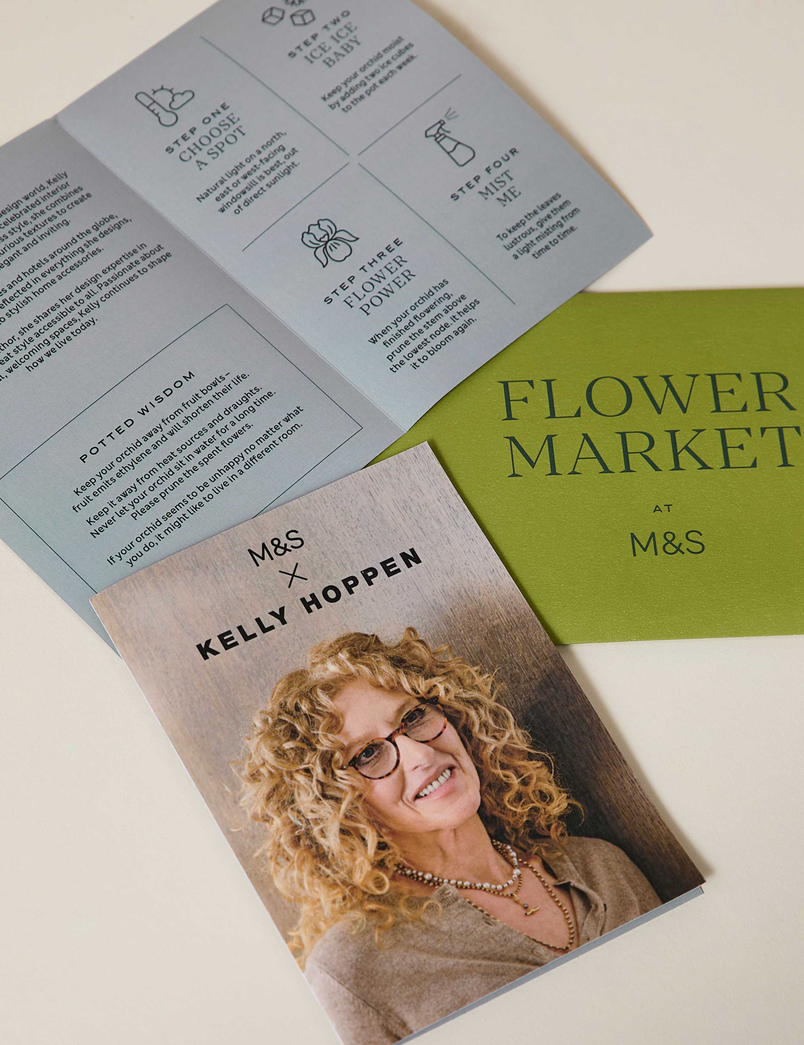 Orchid in Ceramic Pot 5 of 6