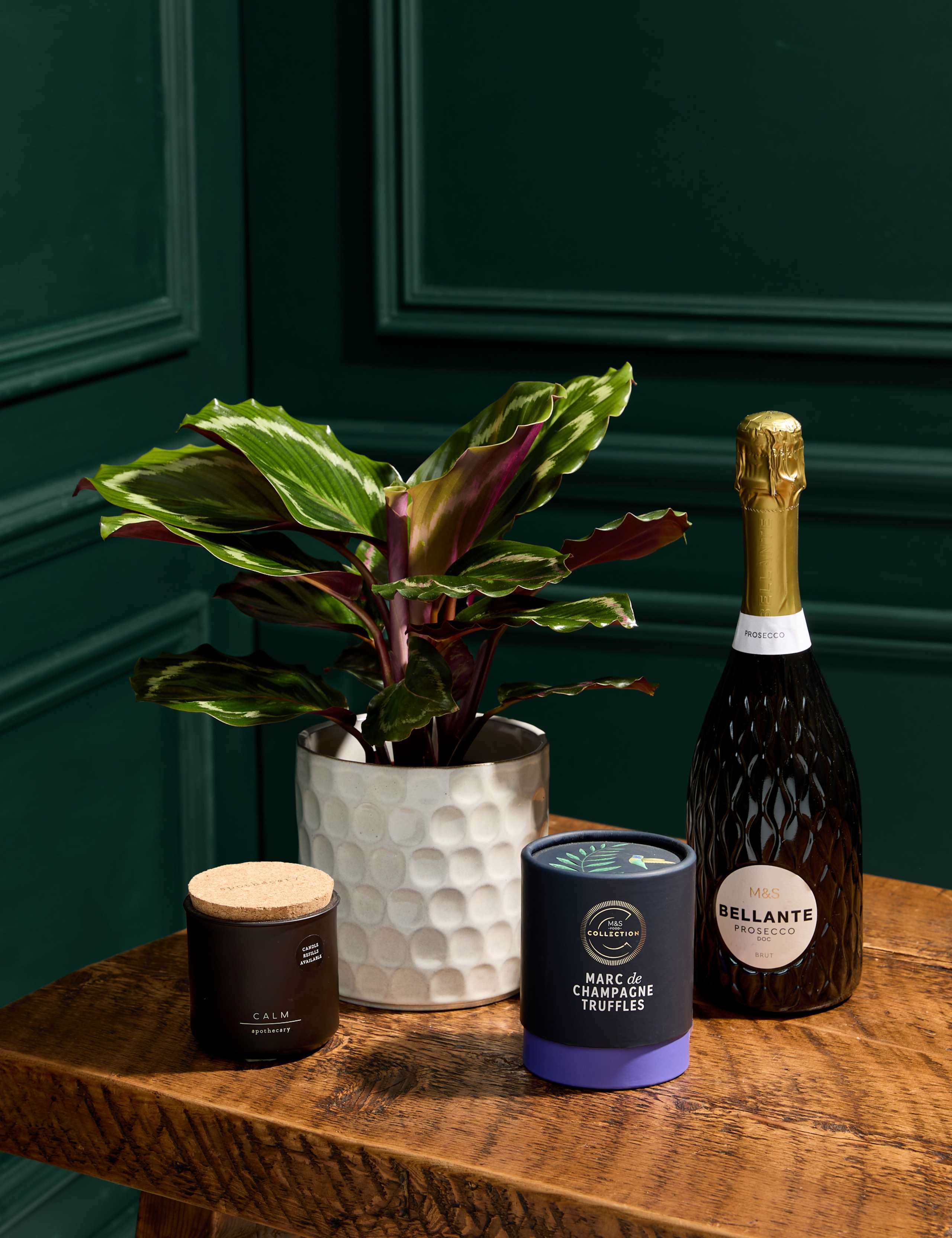 Calathea with Prosecco, Truffles & Candle 1 of 7