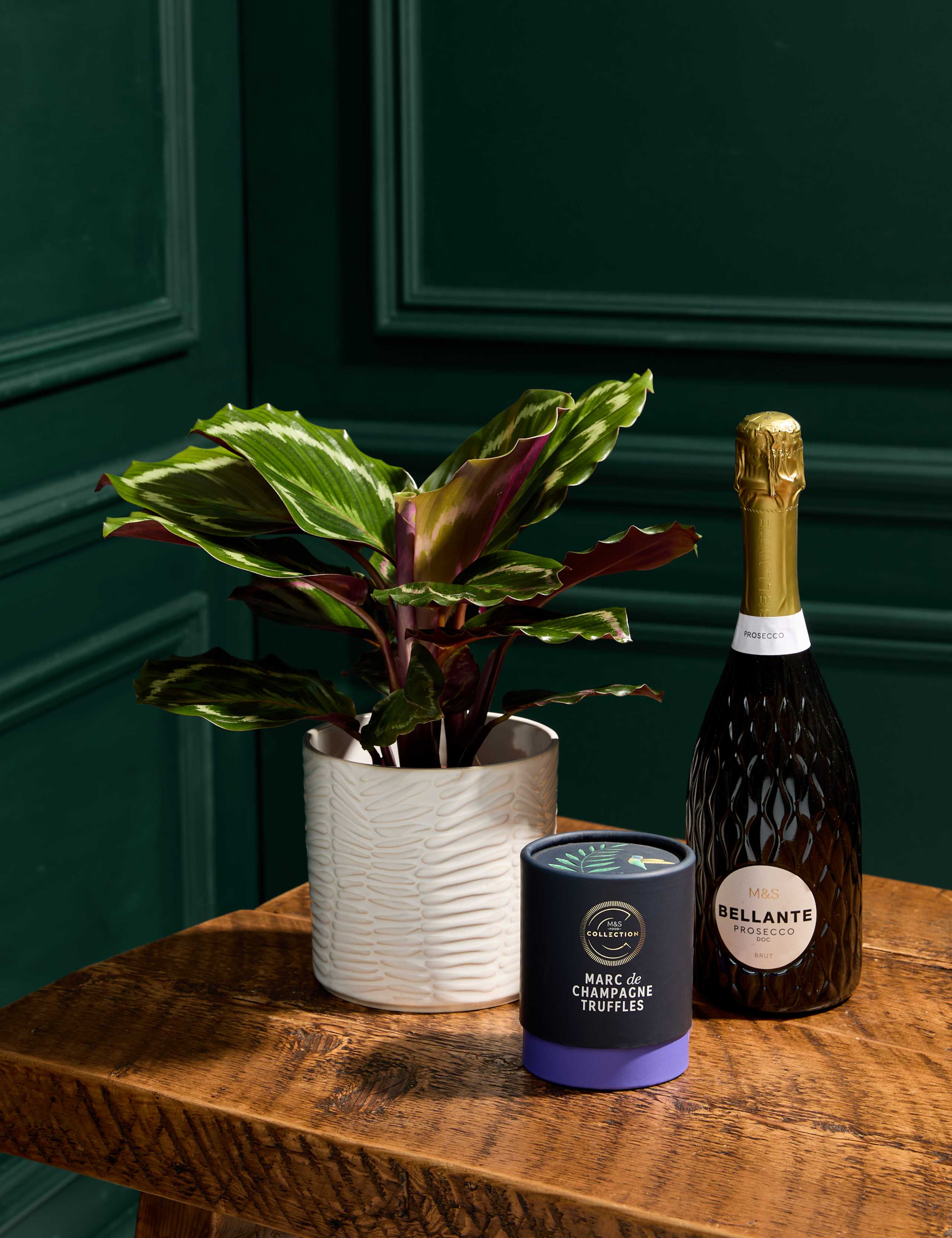 New Home Calathea with Prosecco, Marc de Champagne Truffles & Candle 1 of 7