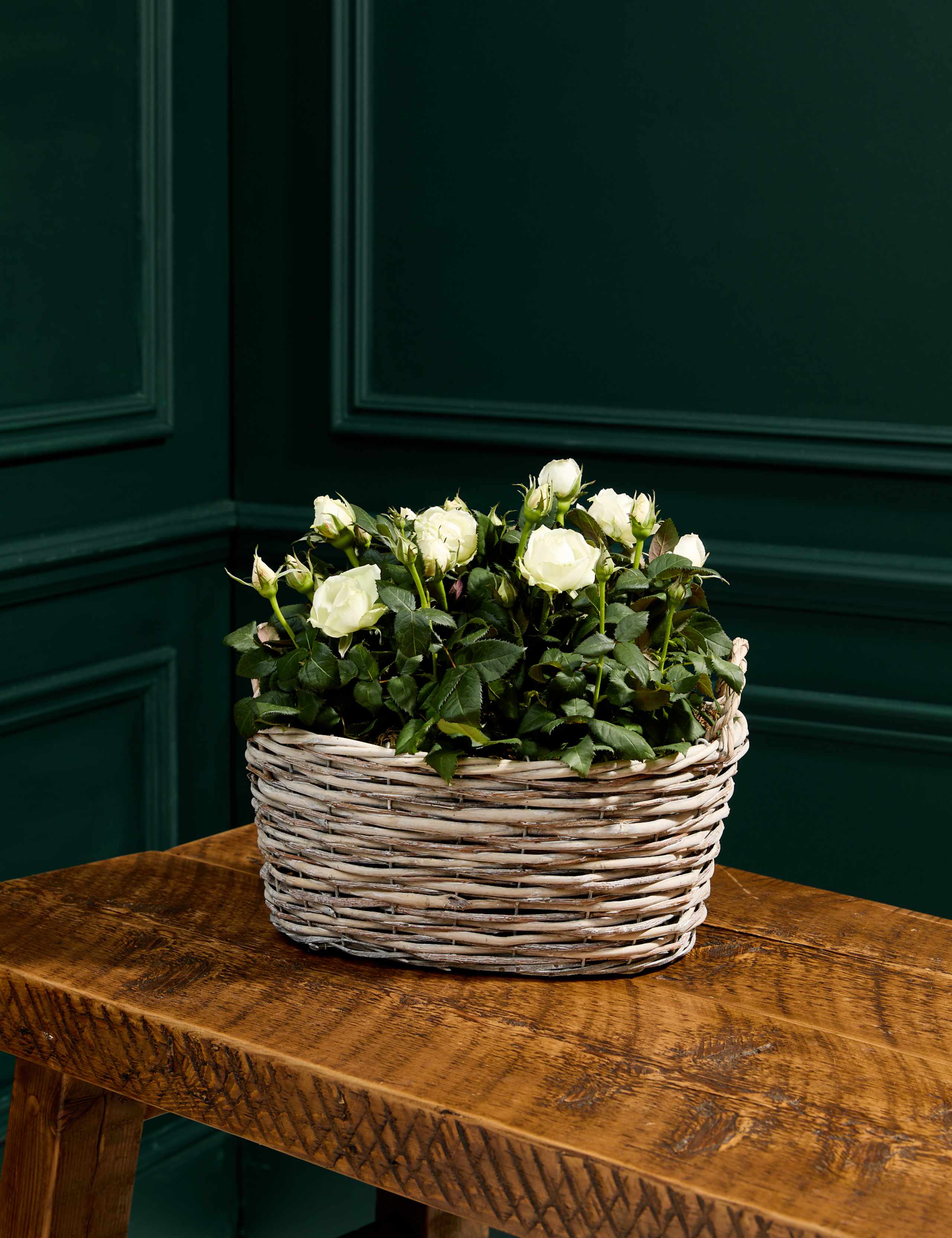Mum's White Luxury Rose Basket 1 of 4