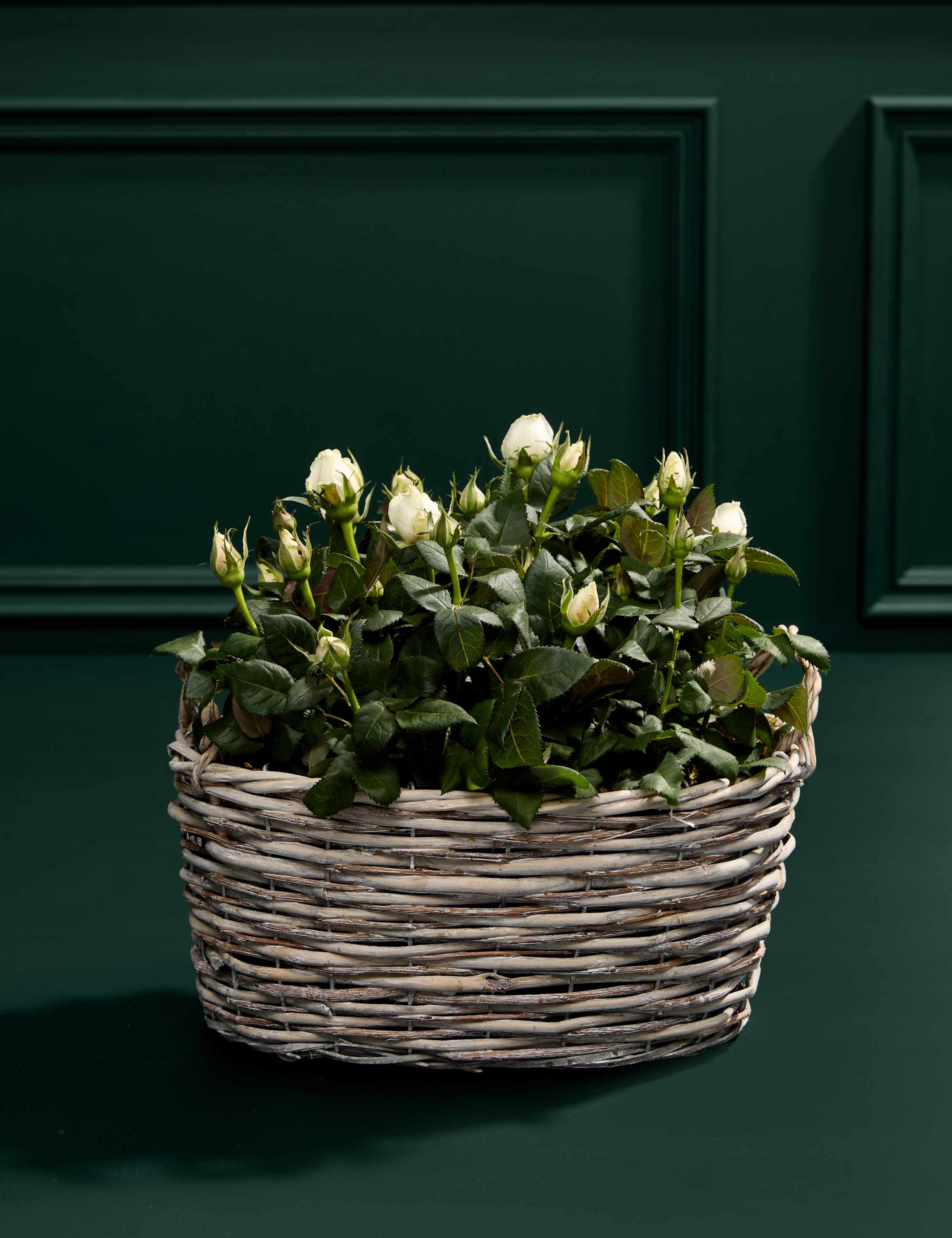 Mum's White Luxury Rose Basket 3 of 4