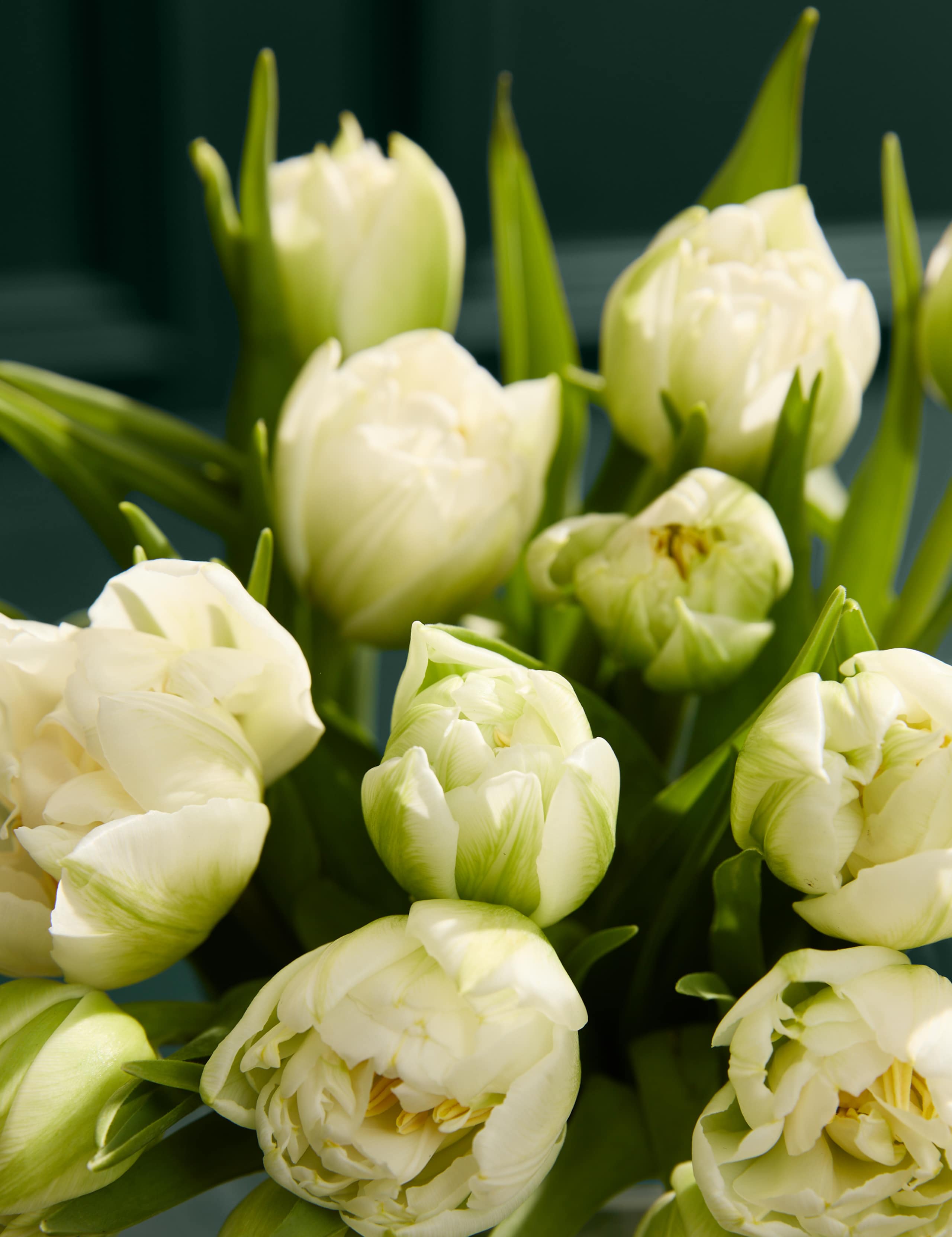 Easter Speciality Abundance Bouquet 3 of 6