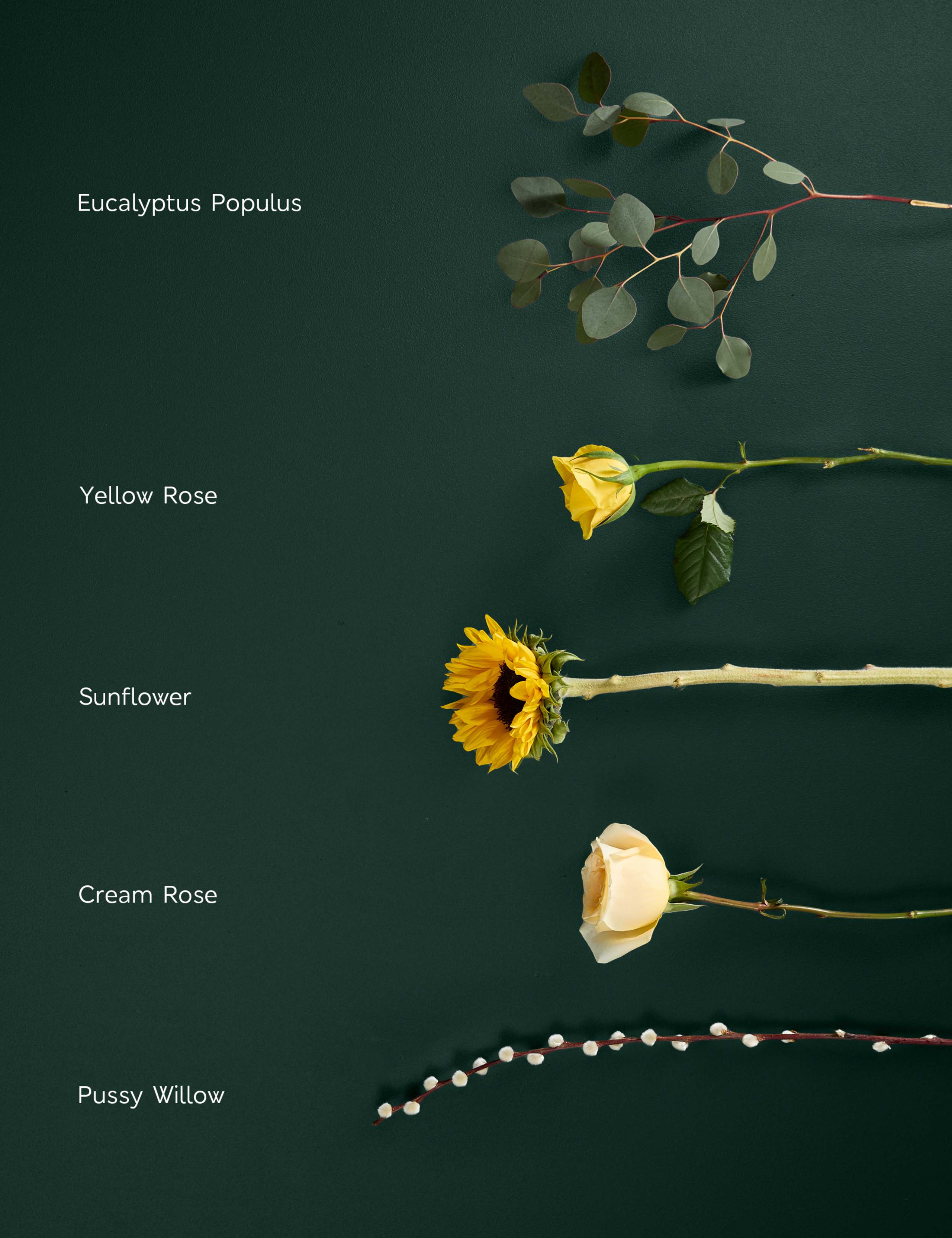 Easter Sunflower Bouquet with Easter Egg 5 of 9