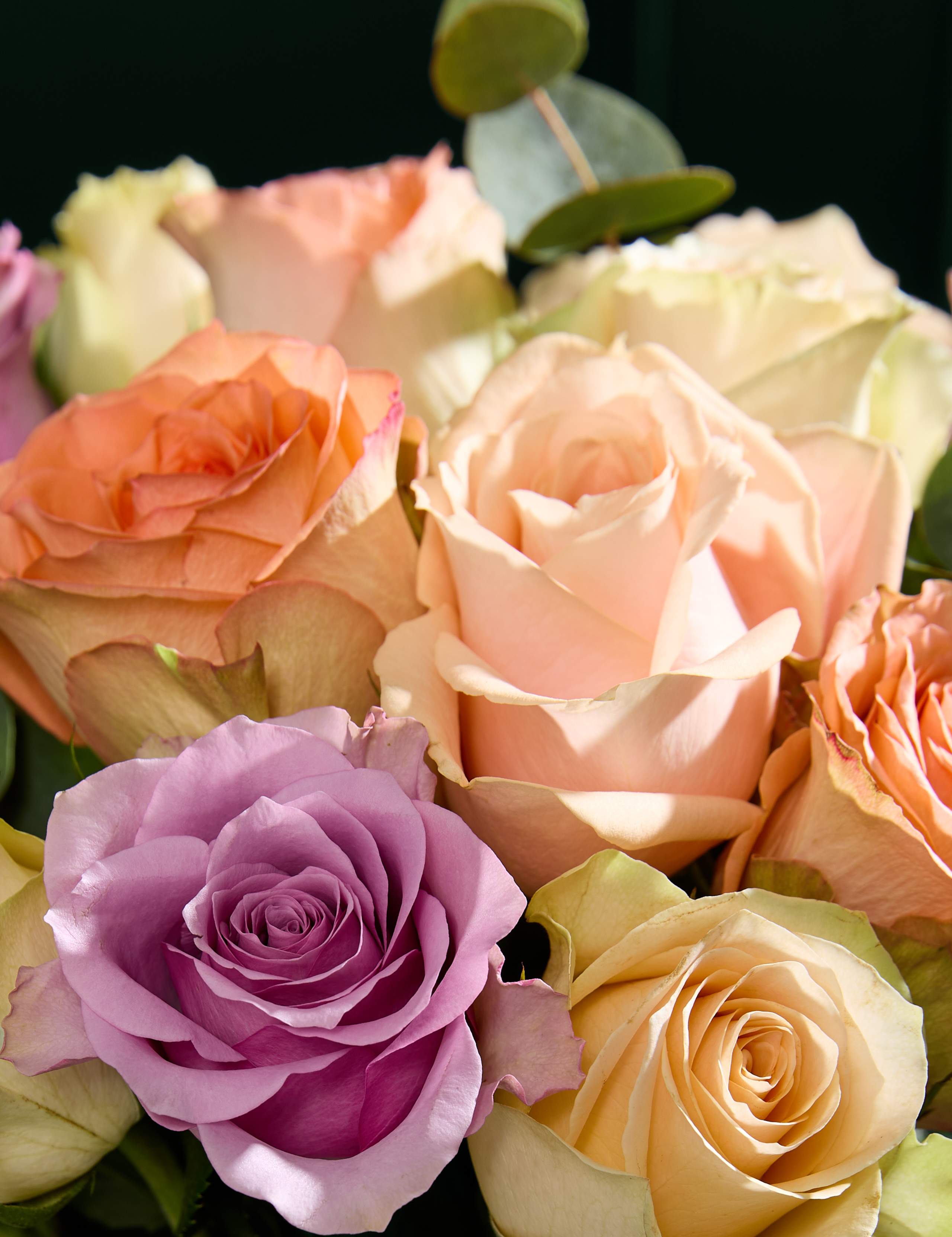 Easter Rose & Eucalyptus Bouquet 3 of 5