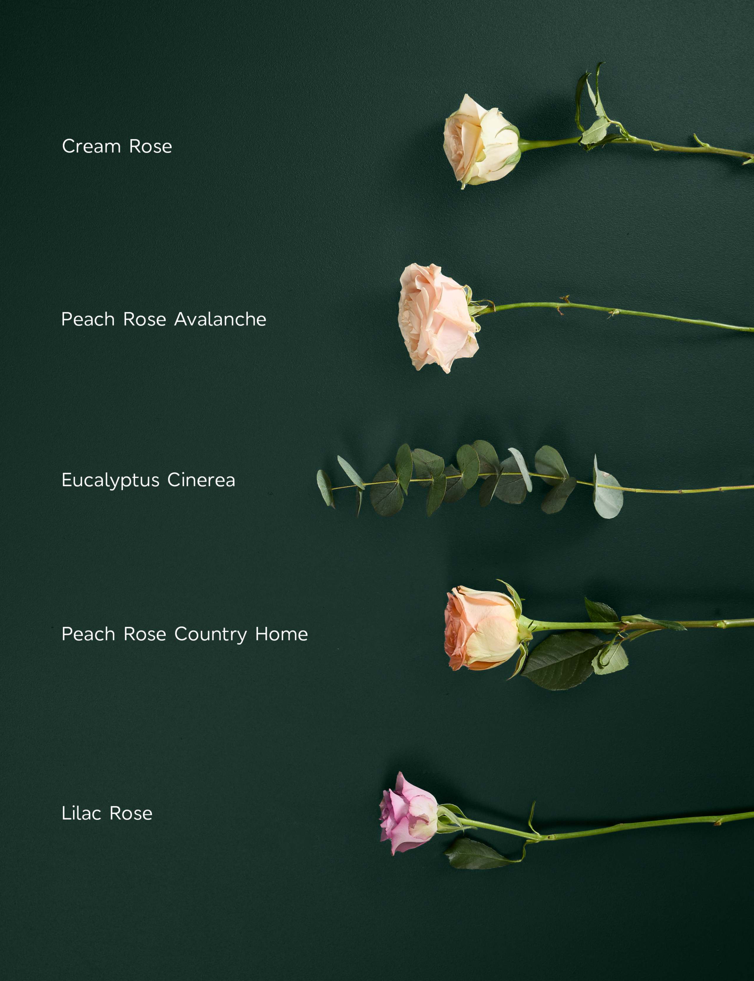 Easter Rose & Eucalyptus Bouquet 4 of 5