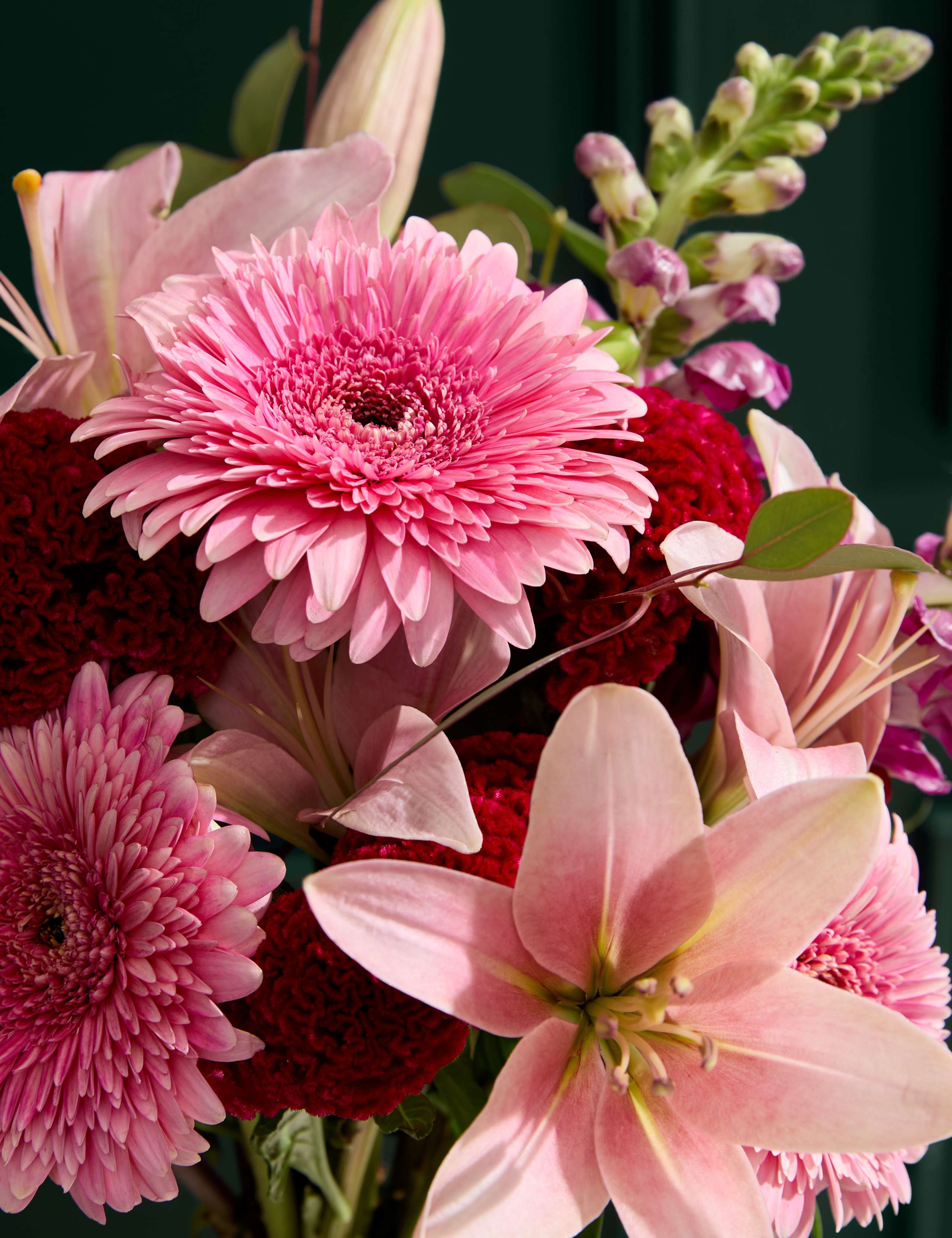 Lily Gerbera & Celosia Bouquet 3 of 7
