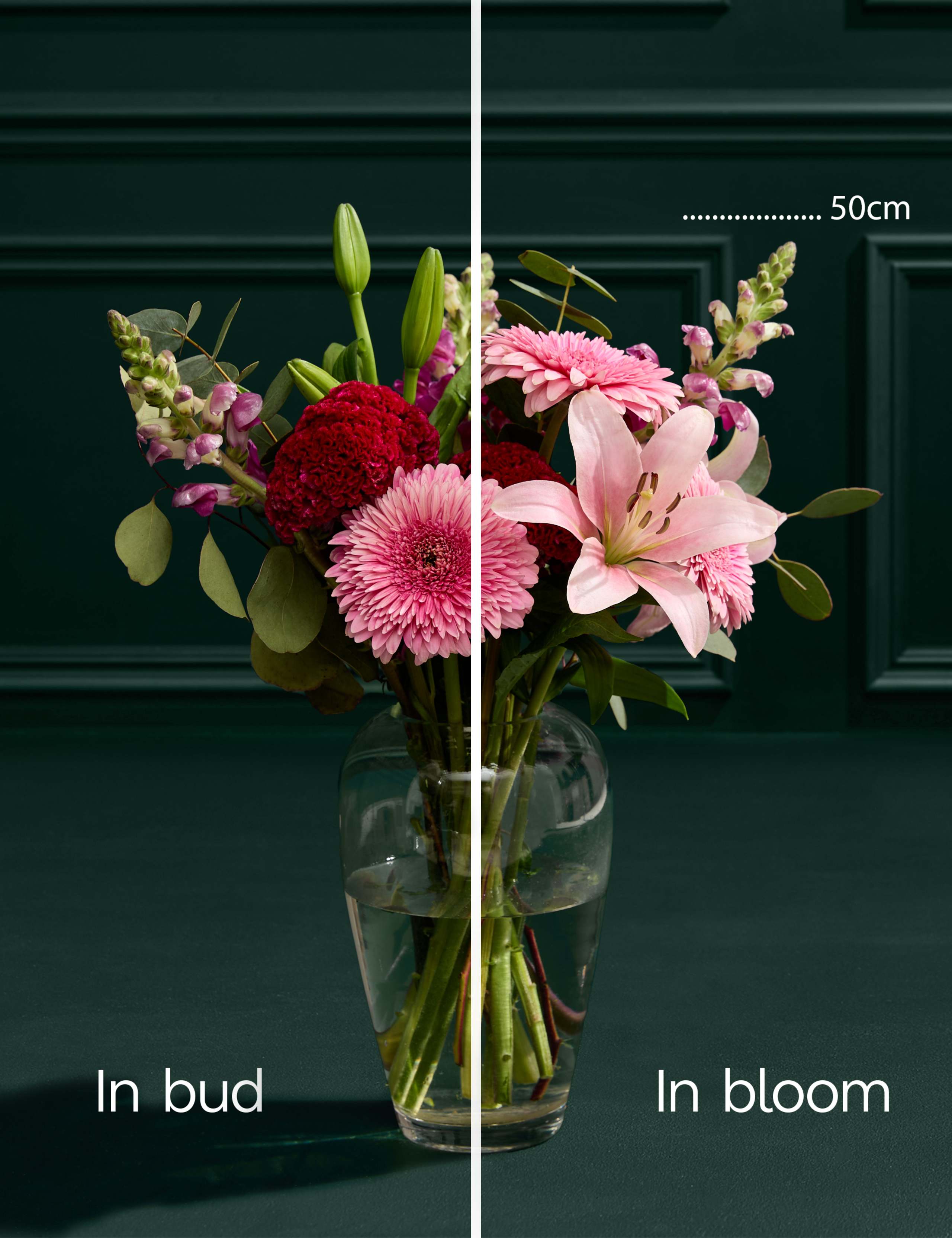 Lily Gerbera & Celosia Bouquet 5 of 7