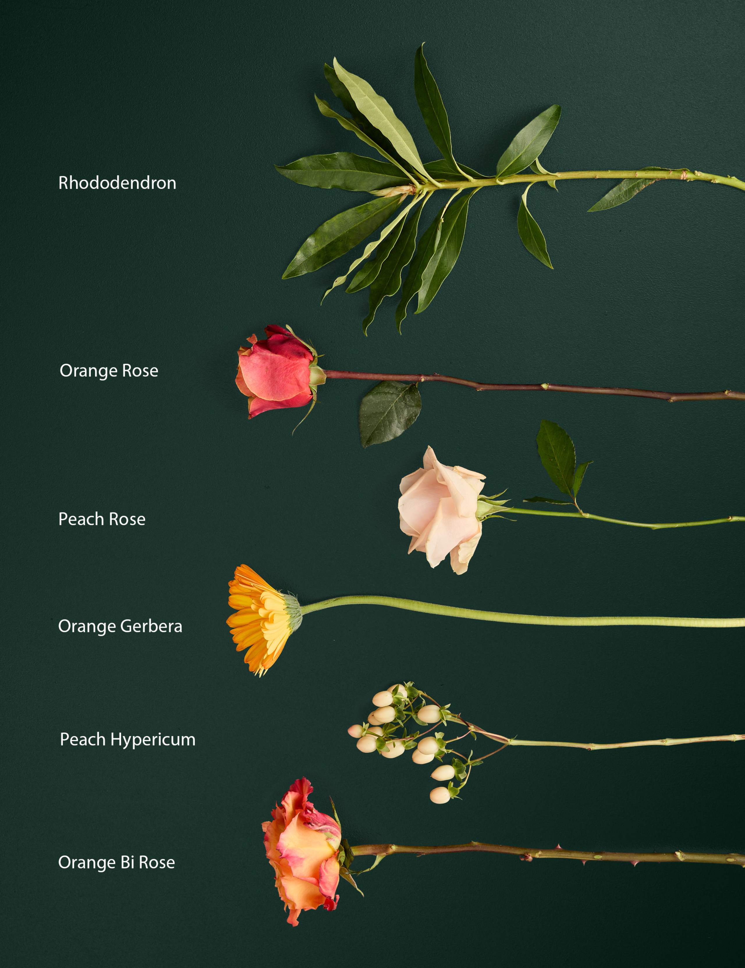 Rose & Hypericum Bouquet 4 of 5