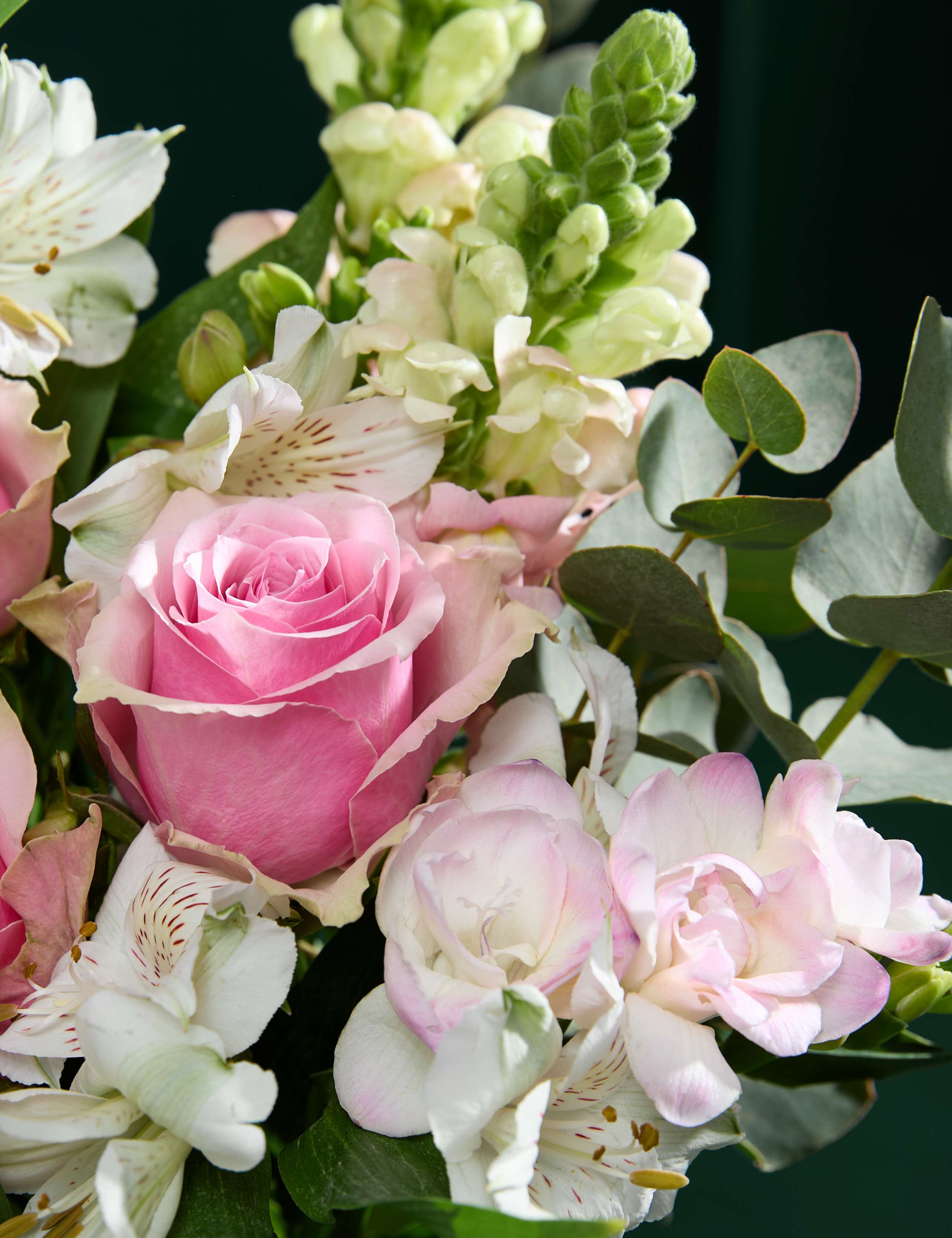 Pink Rose & Scented Freesia Bouquet 3 of 7