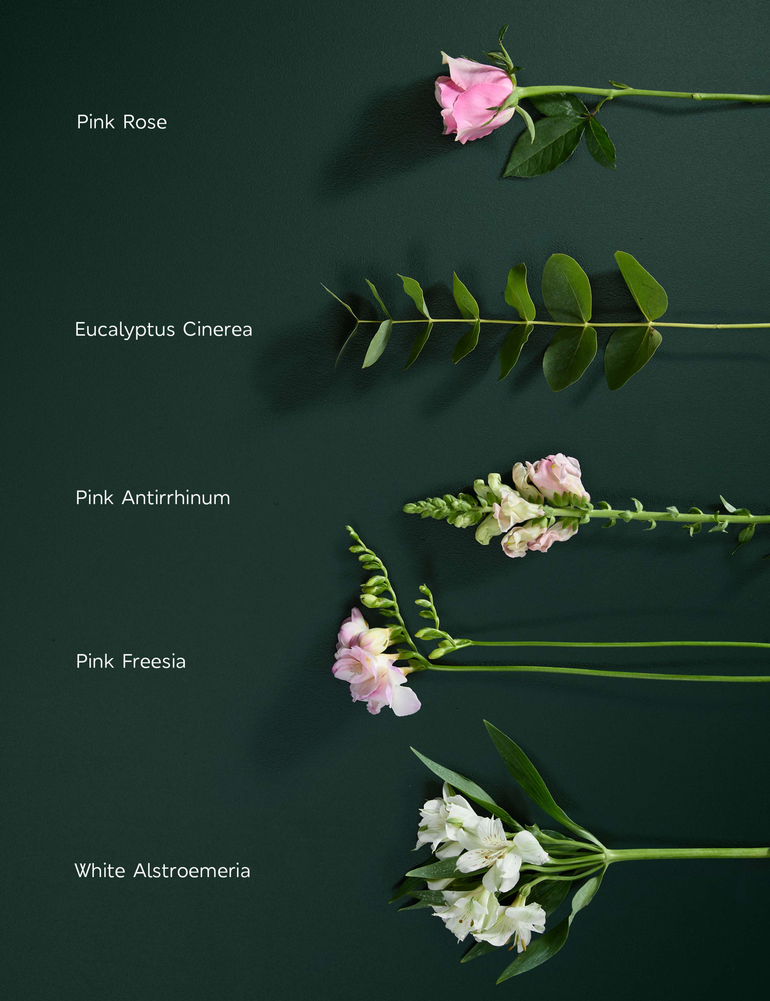 Pink Rose & Scented Freesia Bouquet 4 of 7