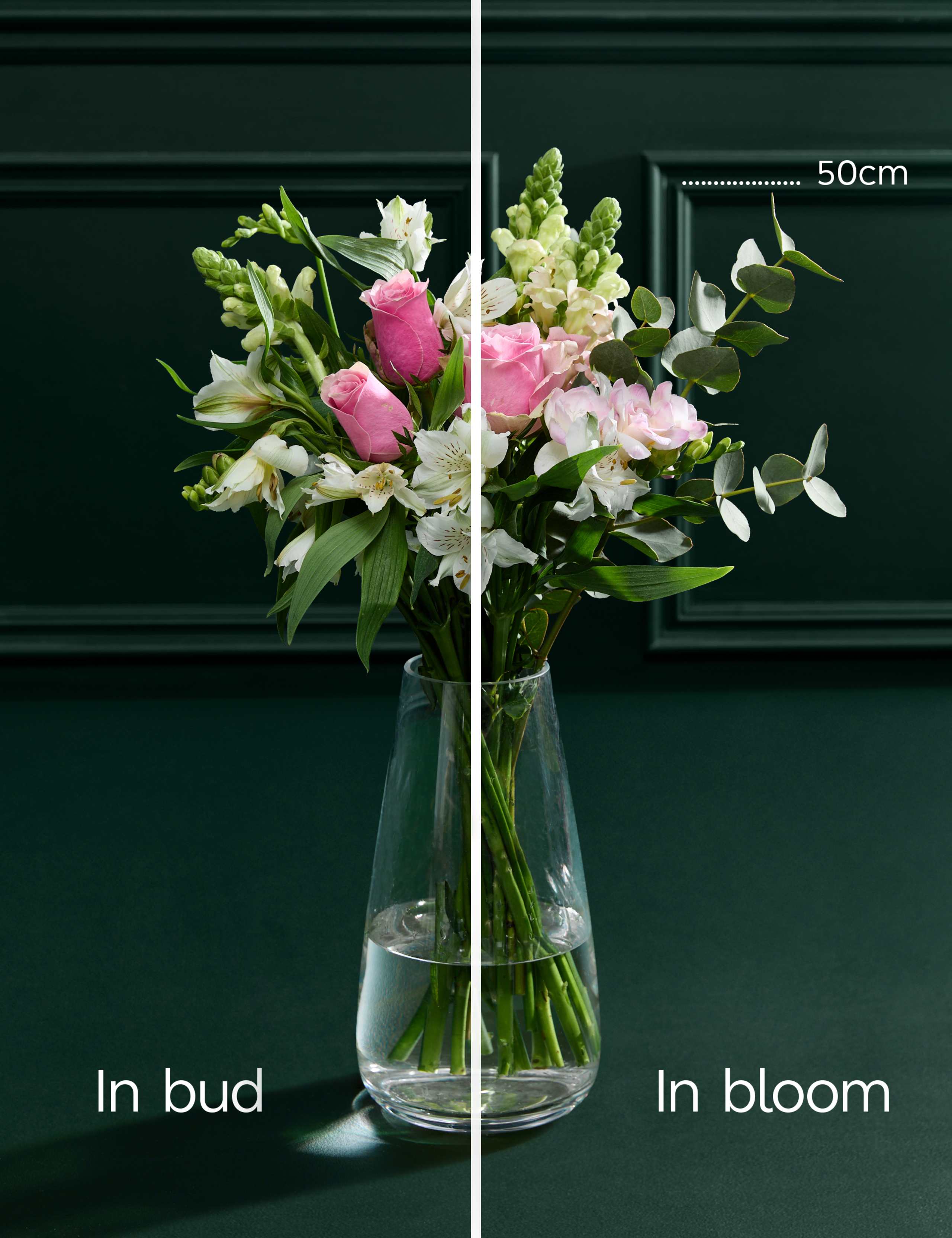 Pink Rose & Scented Freesia Bouquet 5 of 7