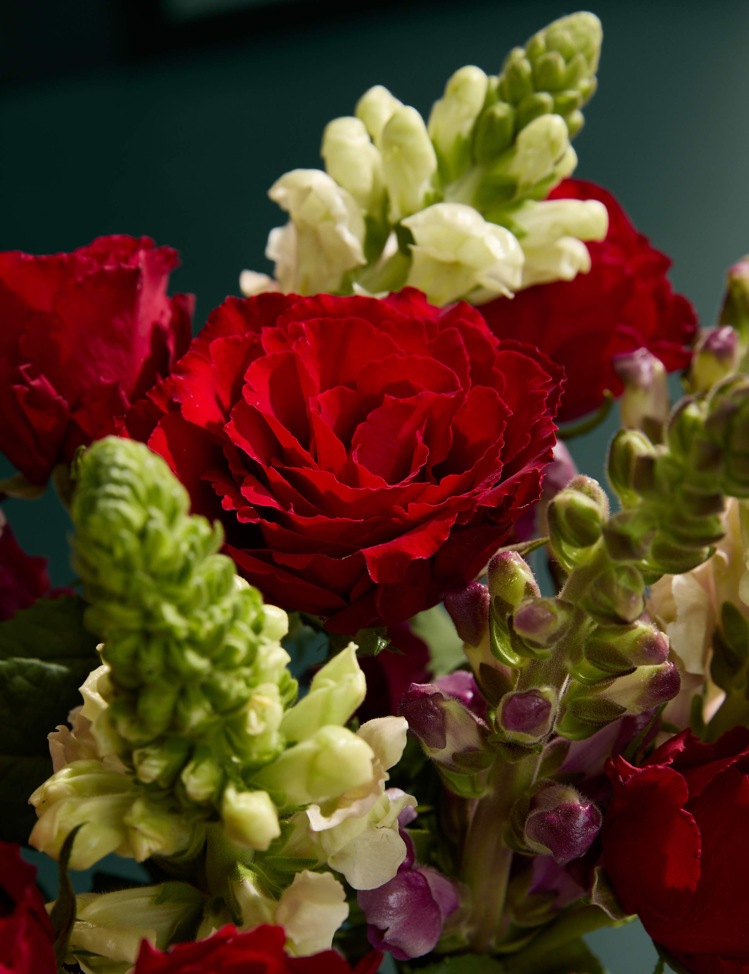 Red Rose and Antirrhinum Bouquet 3 of 6