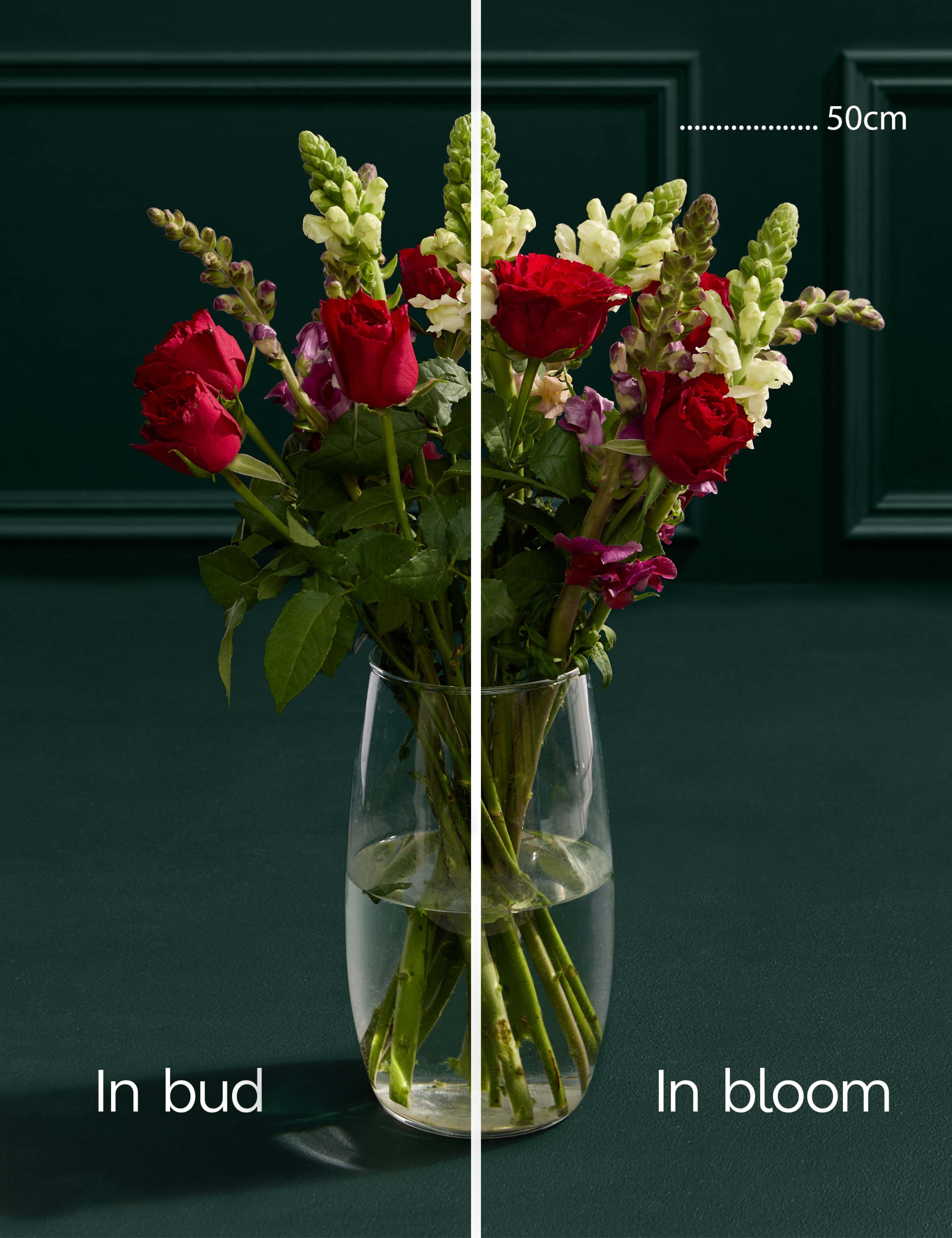 Red Rose and Antirrhinum Bouquet 4 of 6