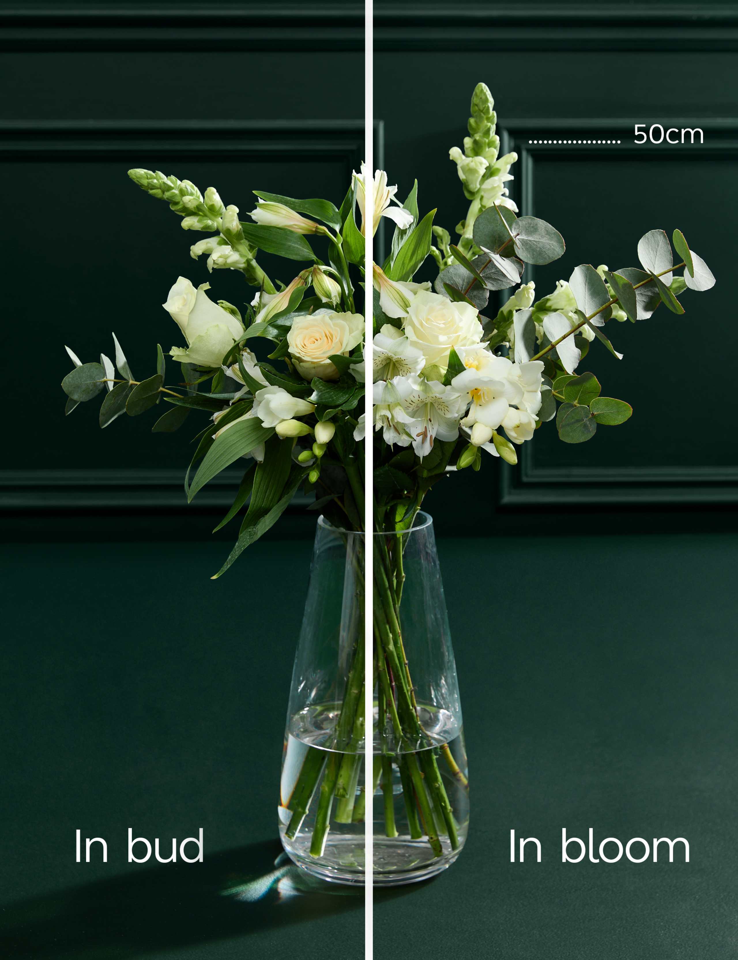 White Rose & Scented Freesia Bouquet 5 of 7