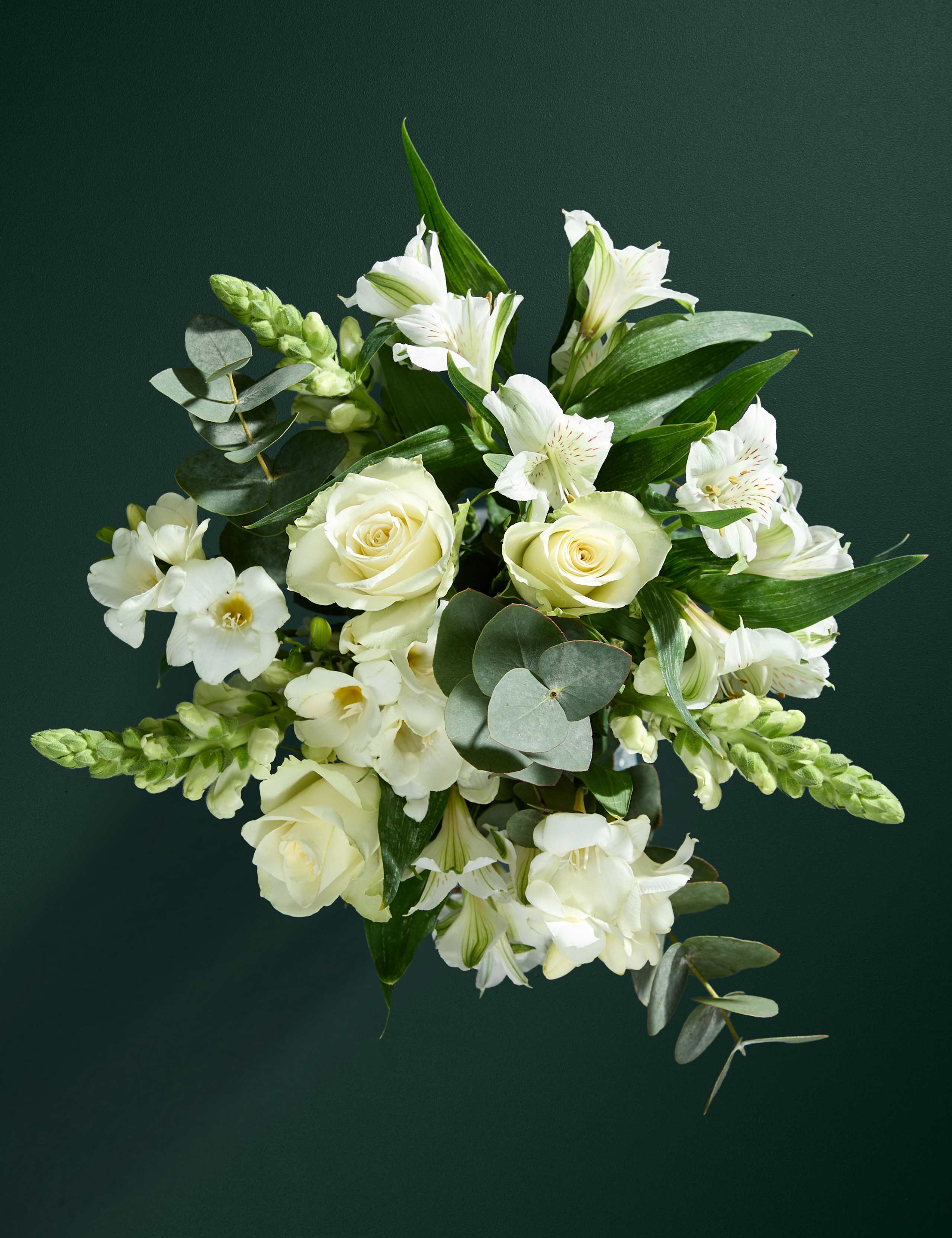 White Rose & Scented Freesia Bouquet 2 of 7