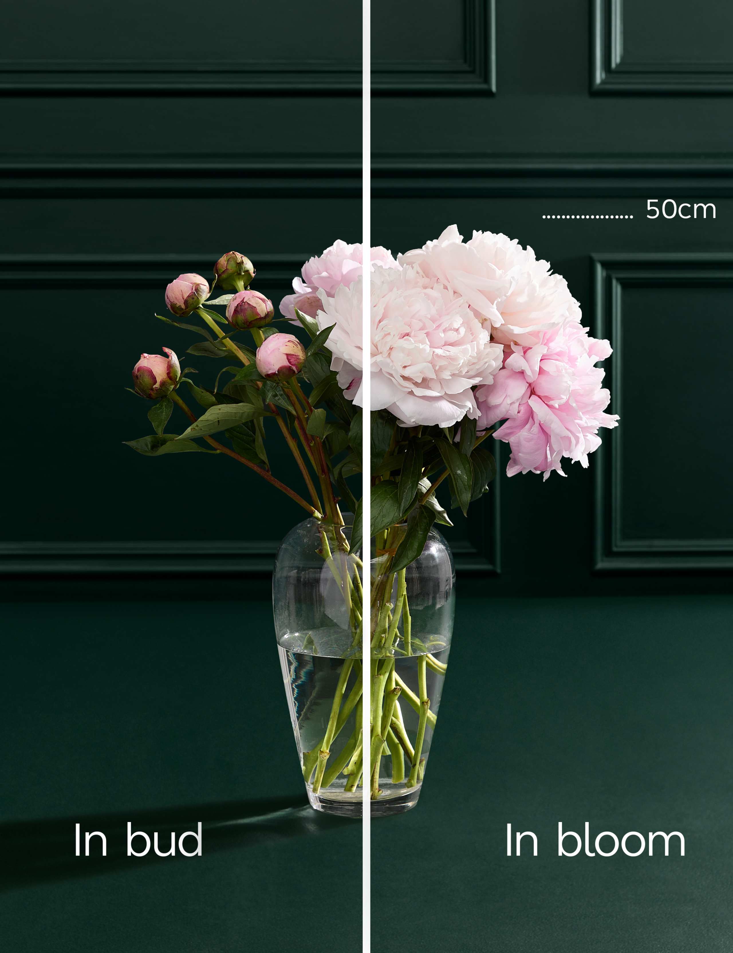 Seasonal Peony Bouquet 4 of 6