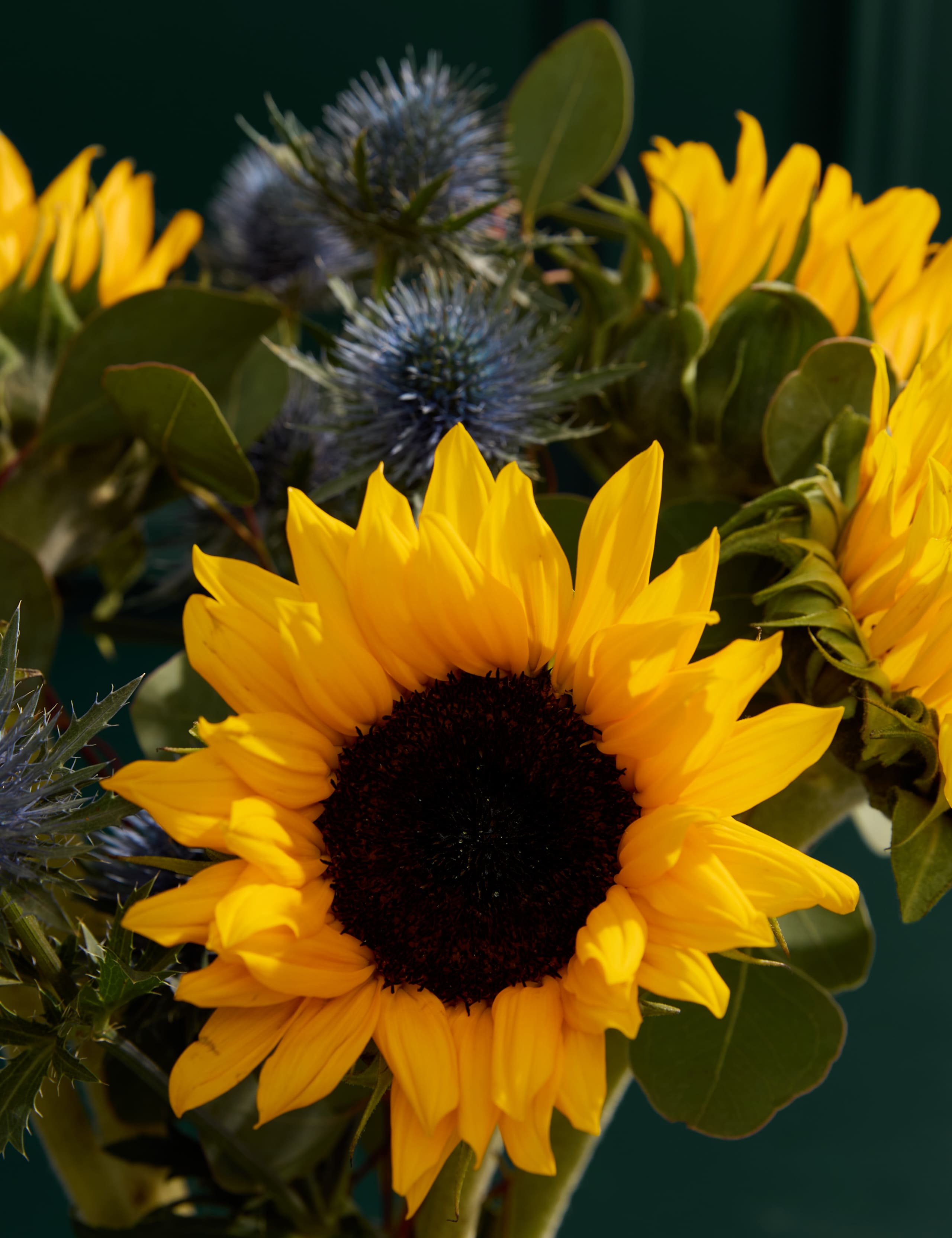 Sunflower Abundance in Vase 3 of 6