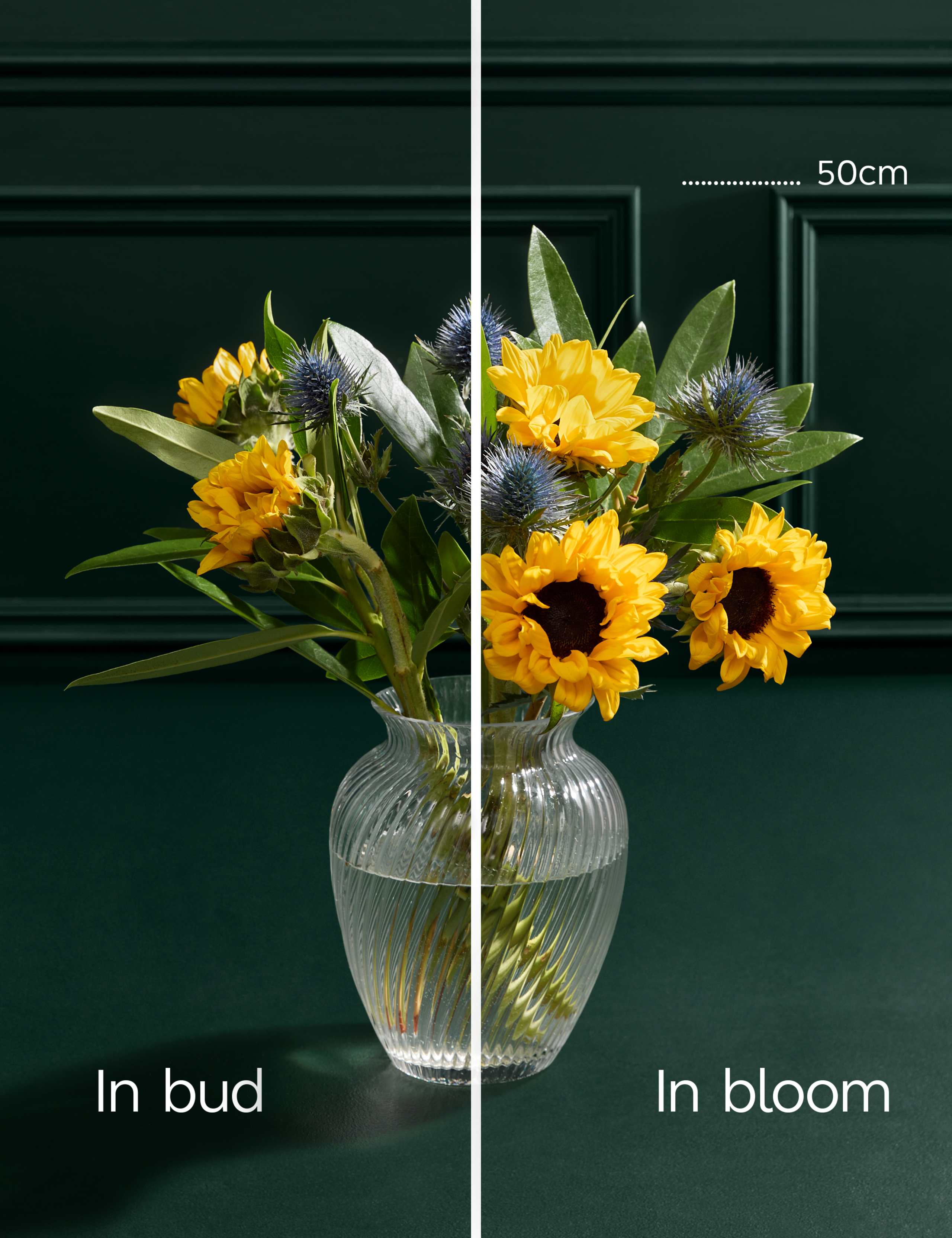 Sunflower Abundance Bouquet with Vase 4 of 7