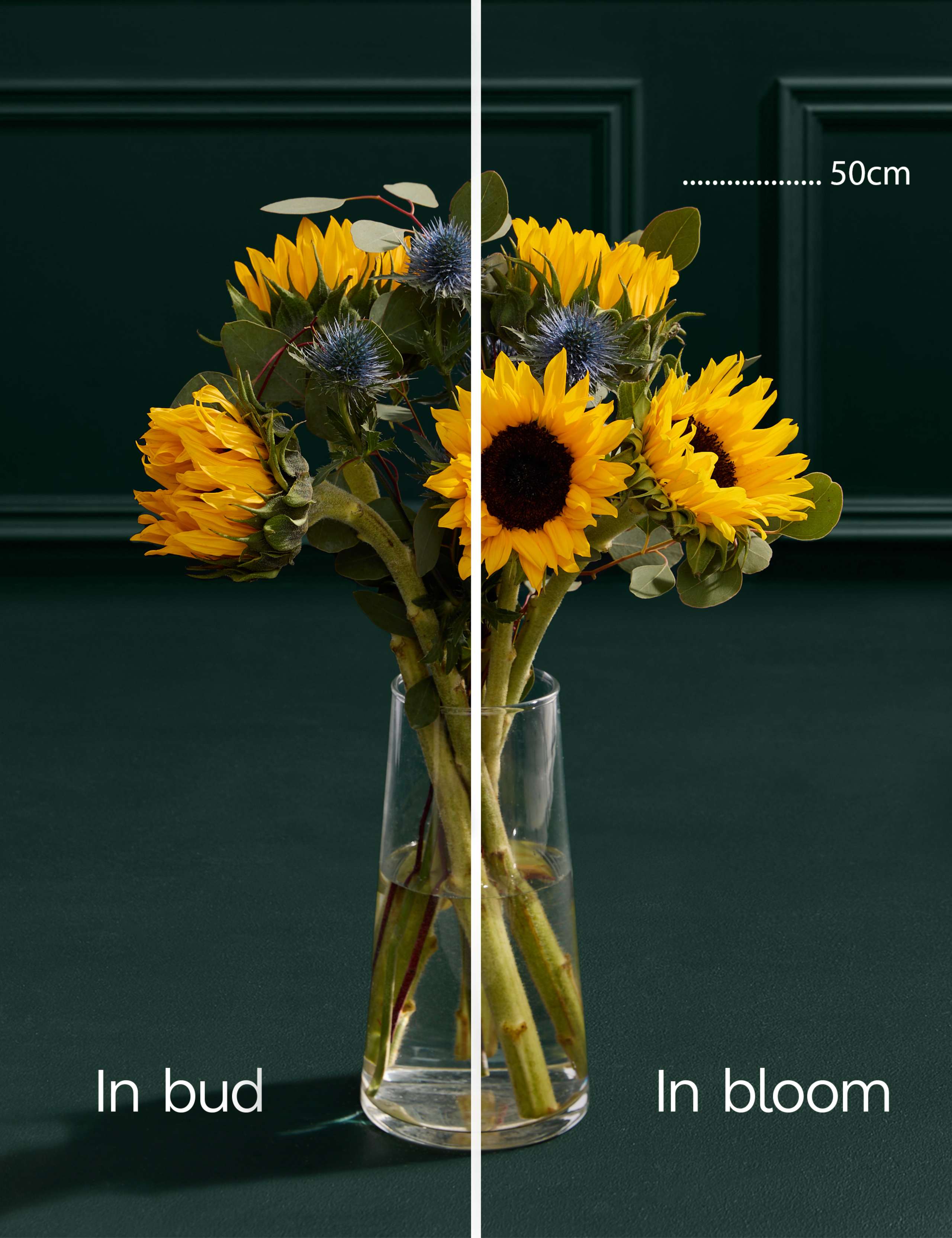Sunflower Abundance in Vase 4 of 6