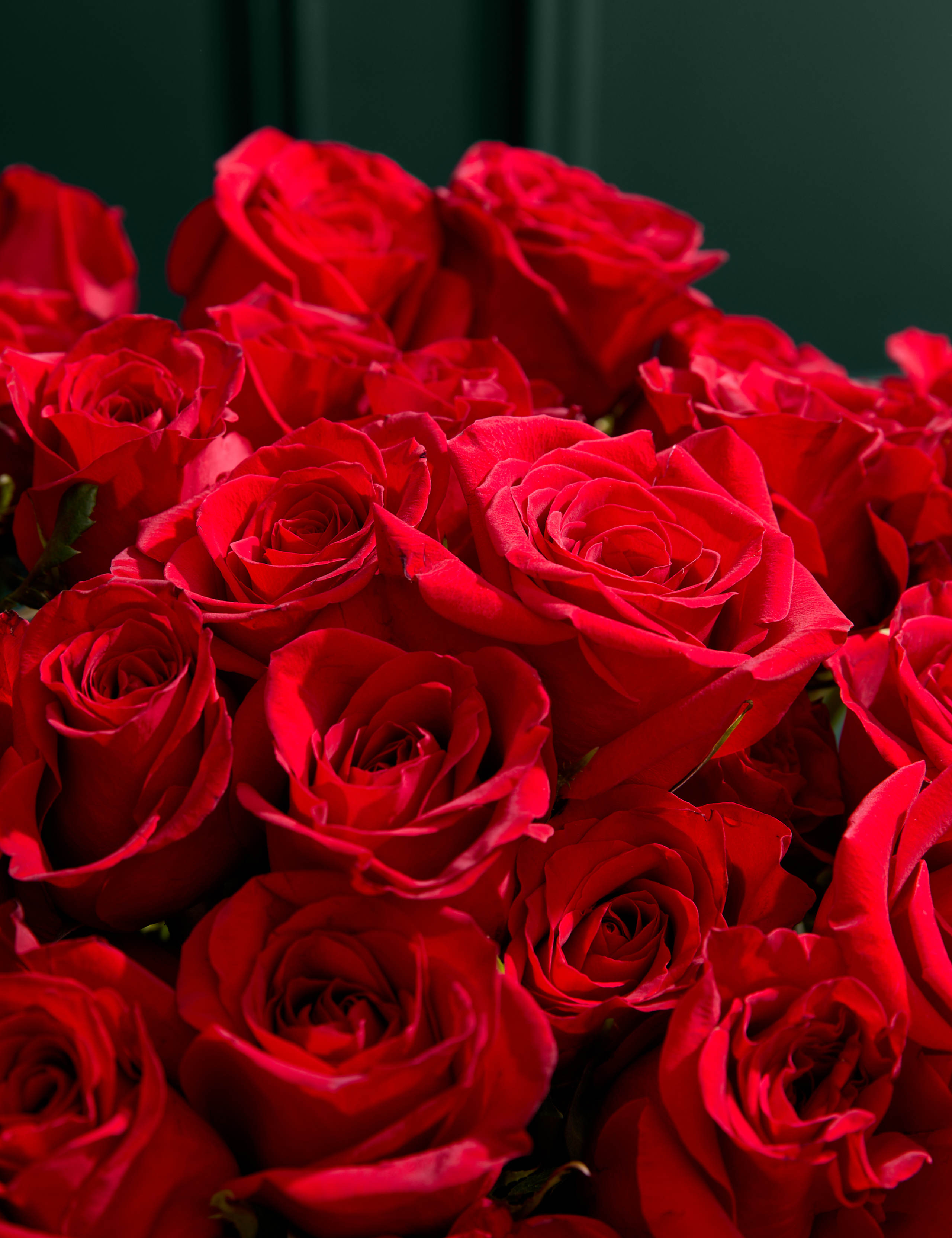 Freedom™ Rose Bouquet with Vase 3 of 7