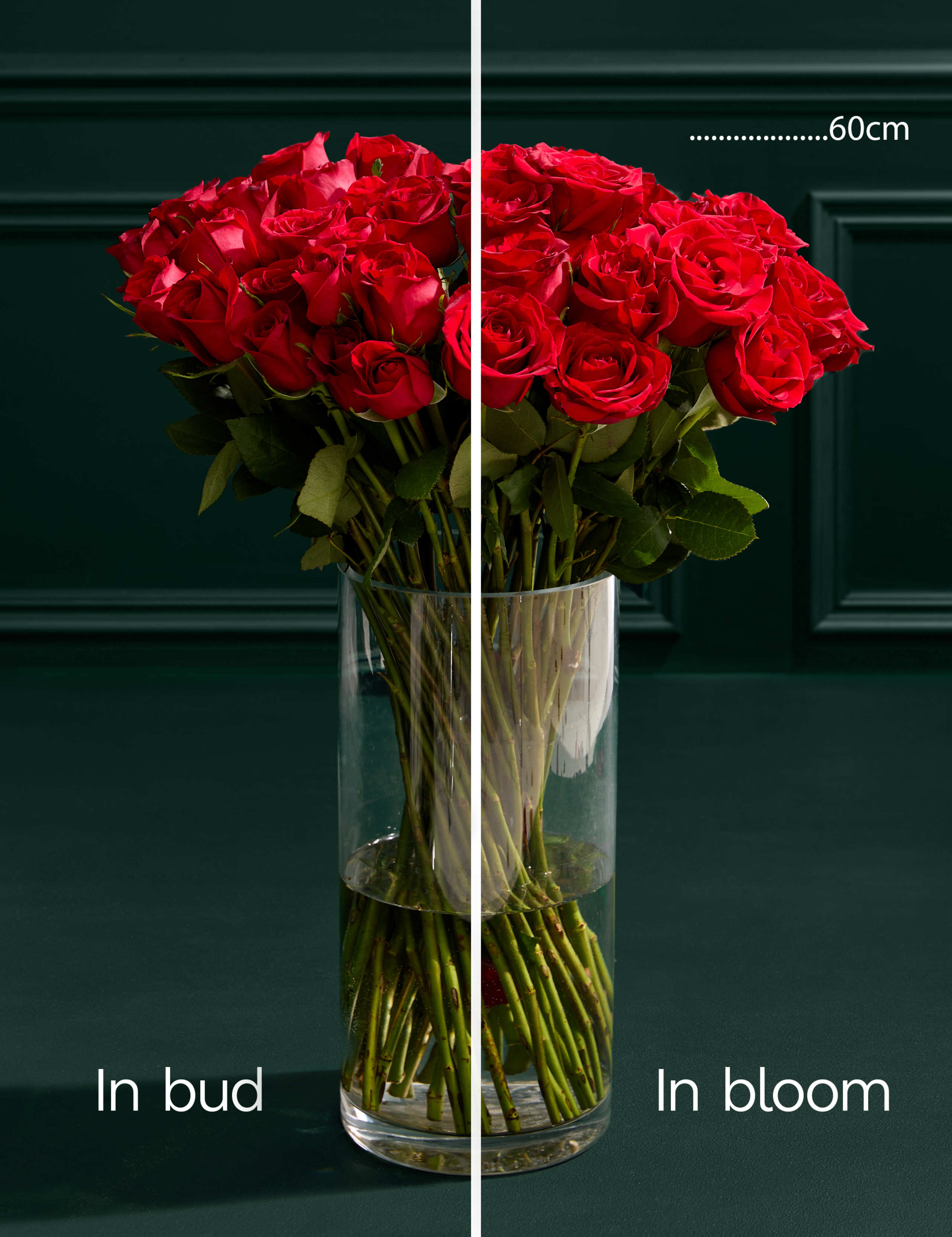 Freedom™ Rose Bouquet 4 of 6