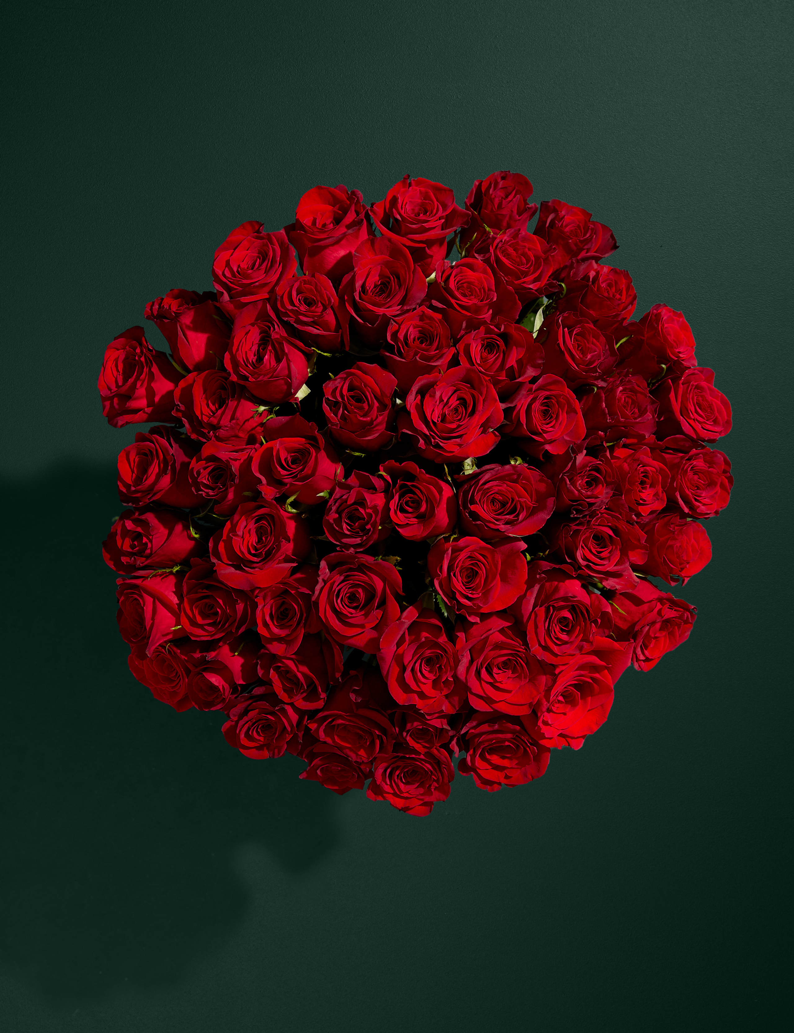 Freedom™ Rose Bouquet with Vase 2 of 7