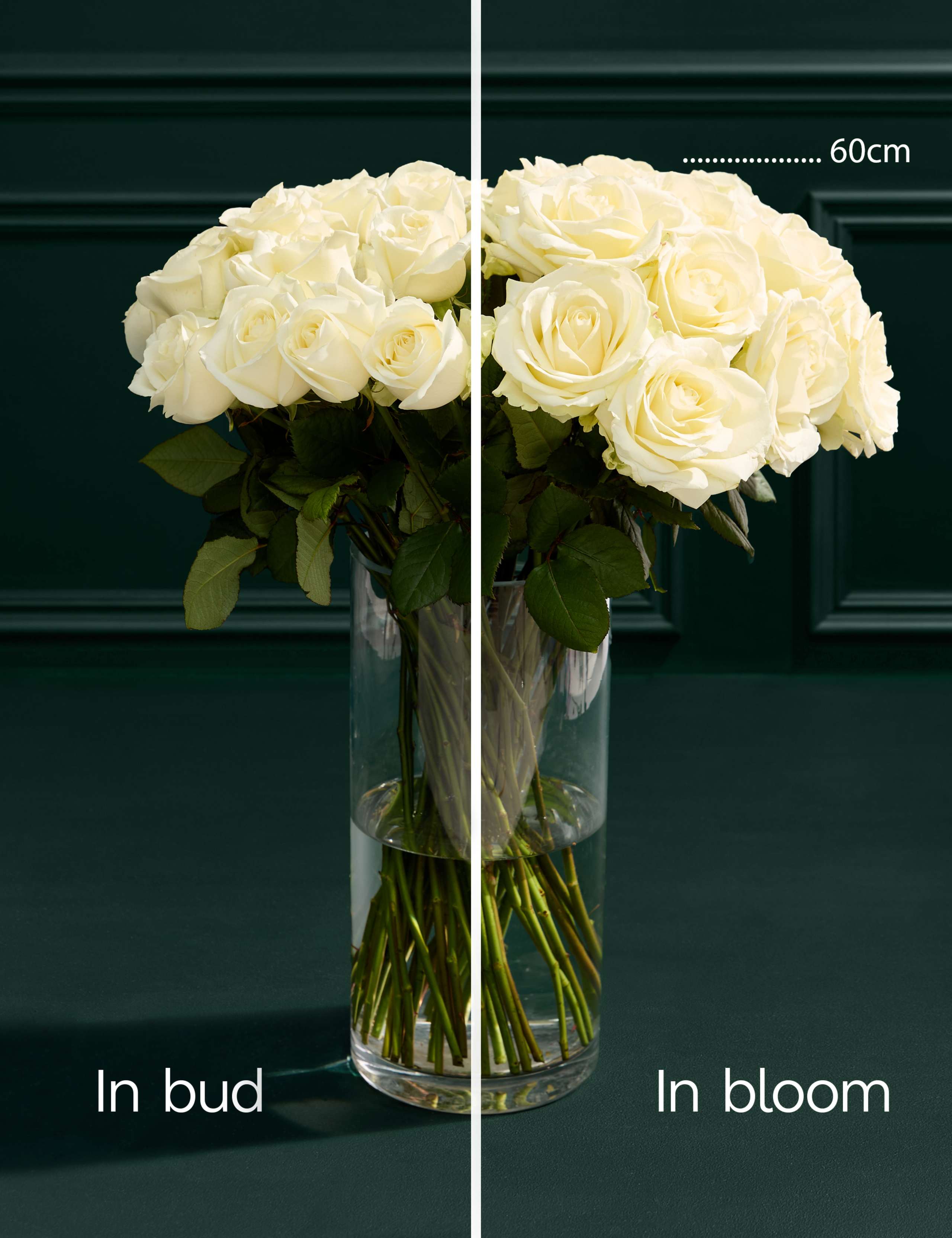 Avalanche Rose Bouquet 4 of 6