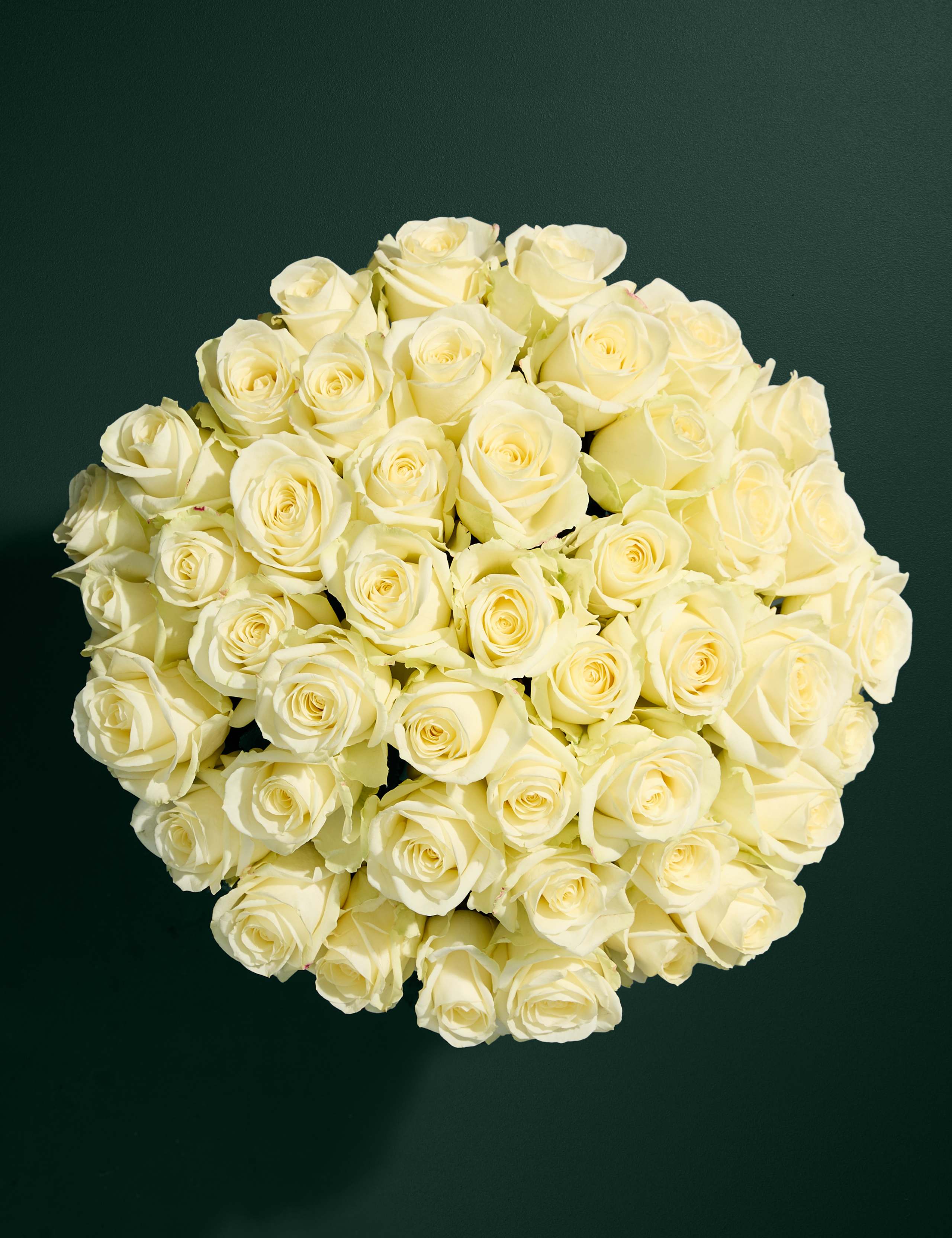 Avalanche™ Rose Bouquet with Vase 2 of 7