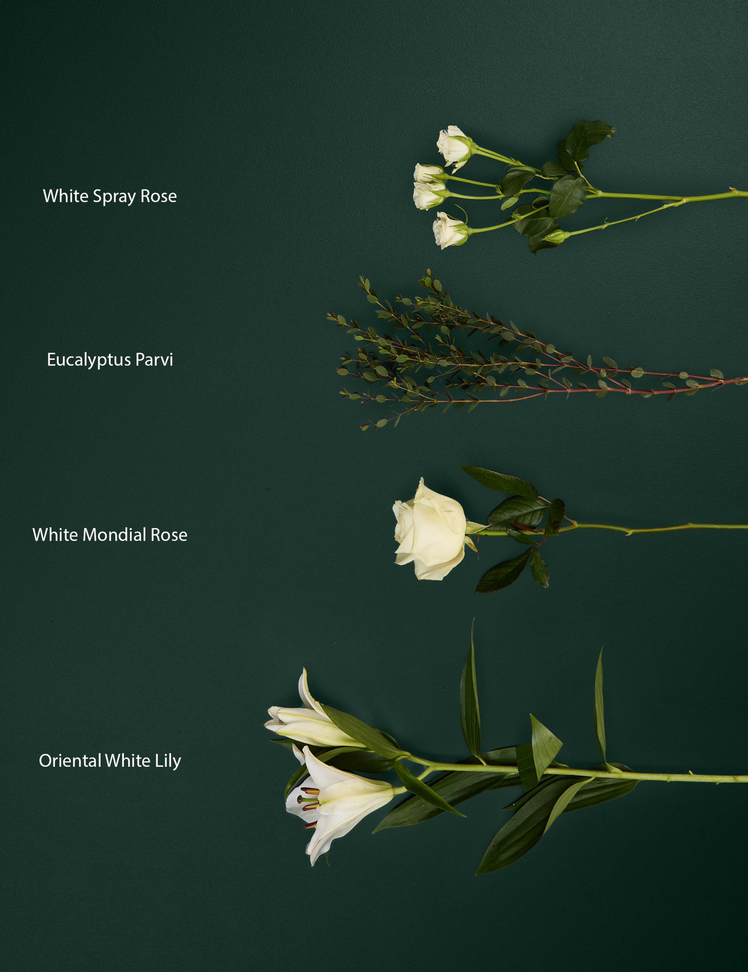 White Rose & Lily Bouquet with Chocolates & Vintage Champagne 6 of 9