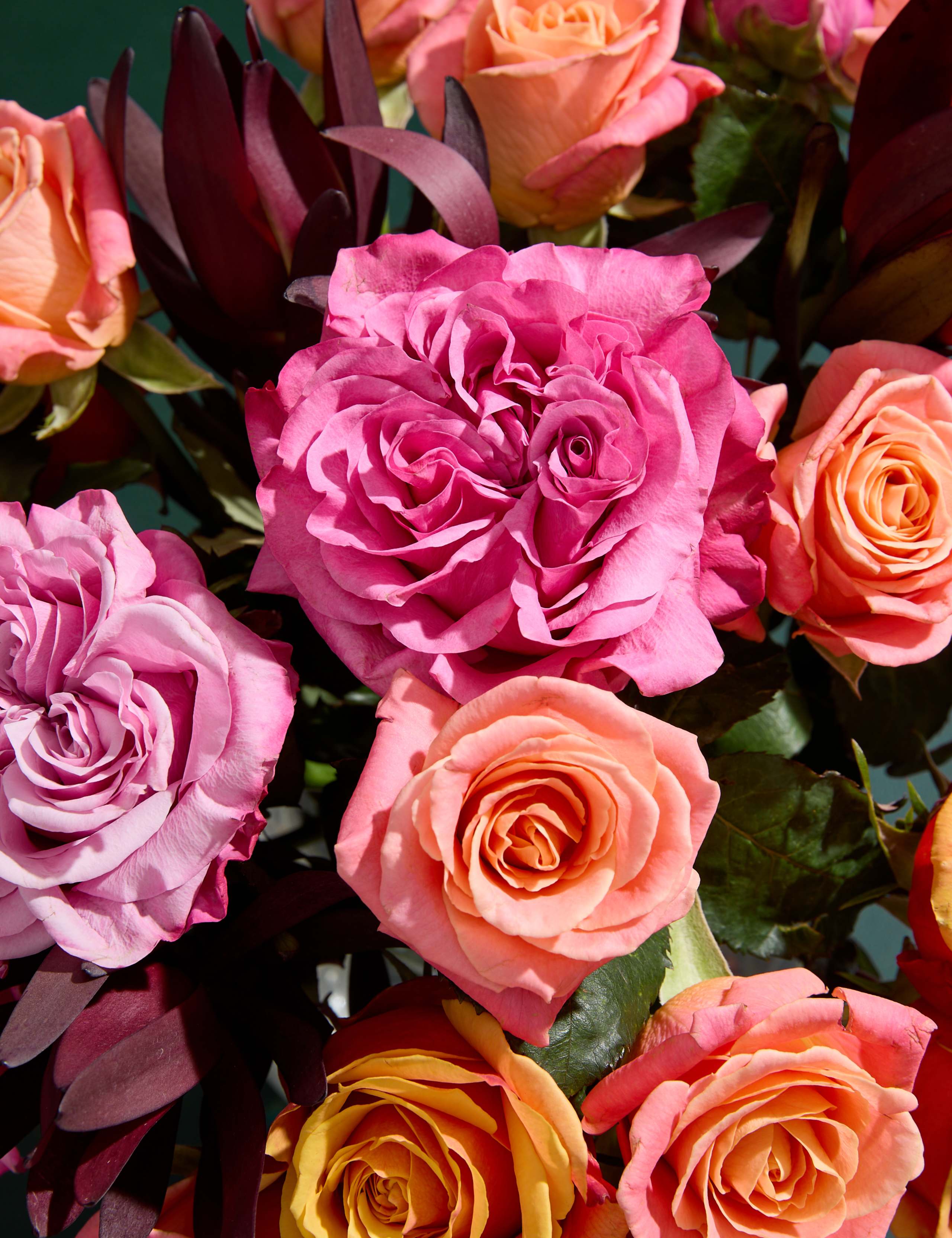 Rose & Leucadendron Bouquet 3 of 5