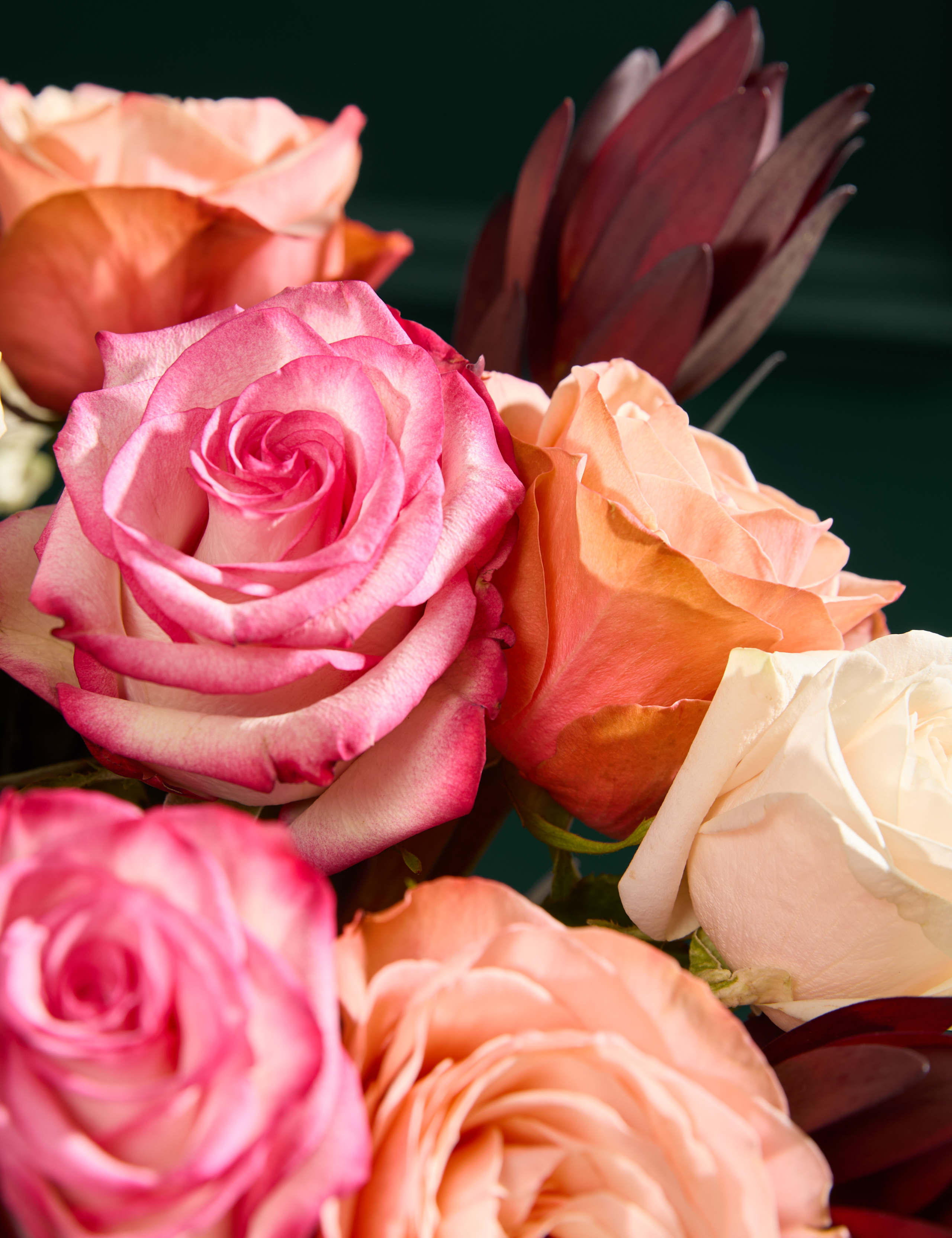 Rose & Leucodendrum Bouquet 4 of 8