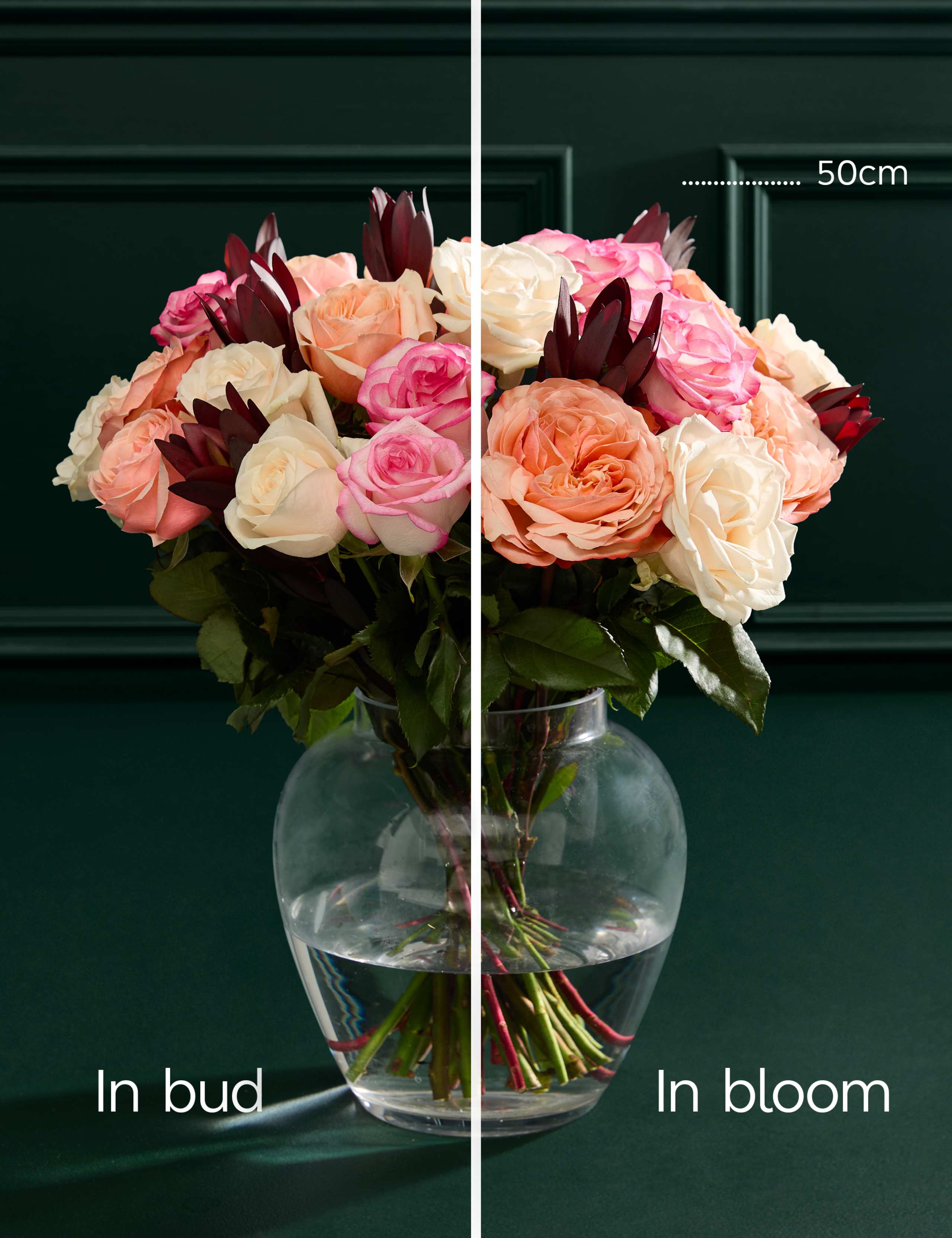 Rose & Leucodendrum Bouquet 6 of 8