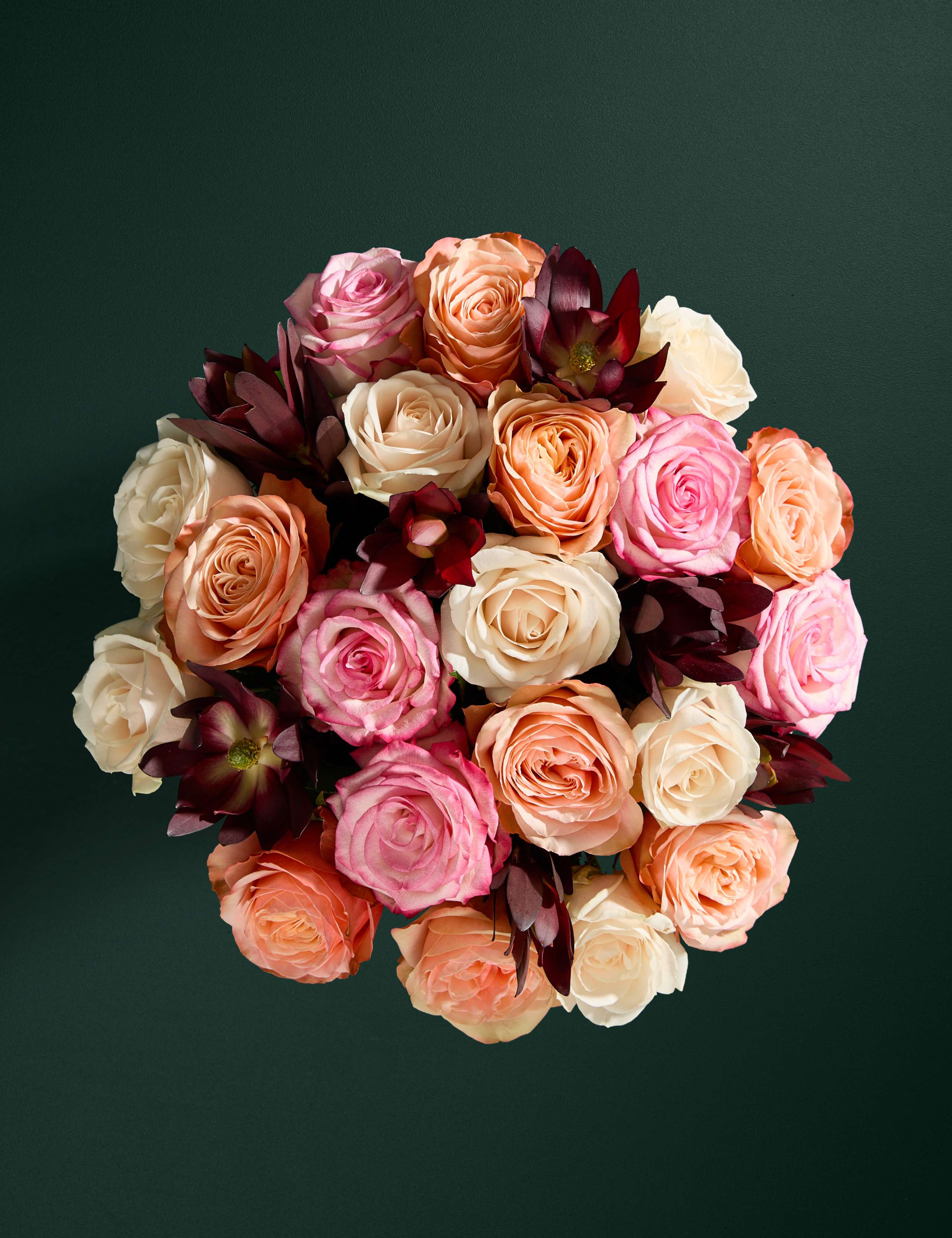 Rose & Leucodendrum Bouquet 2 of 8