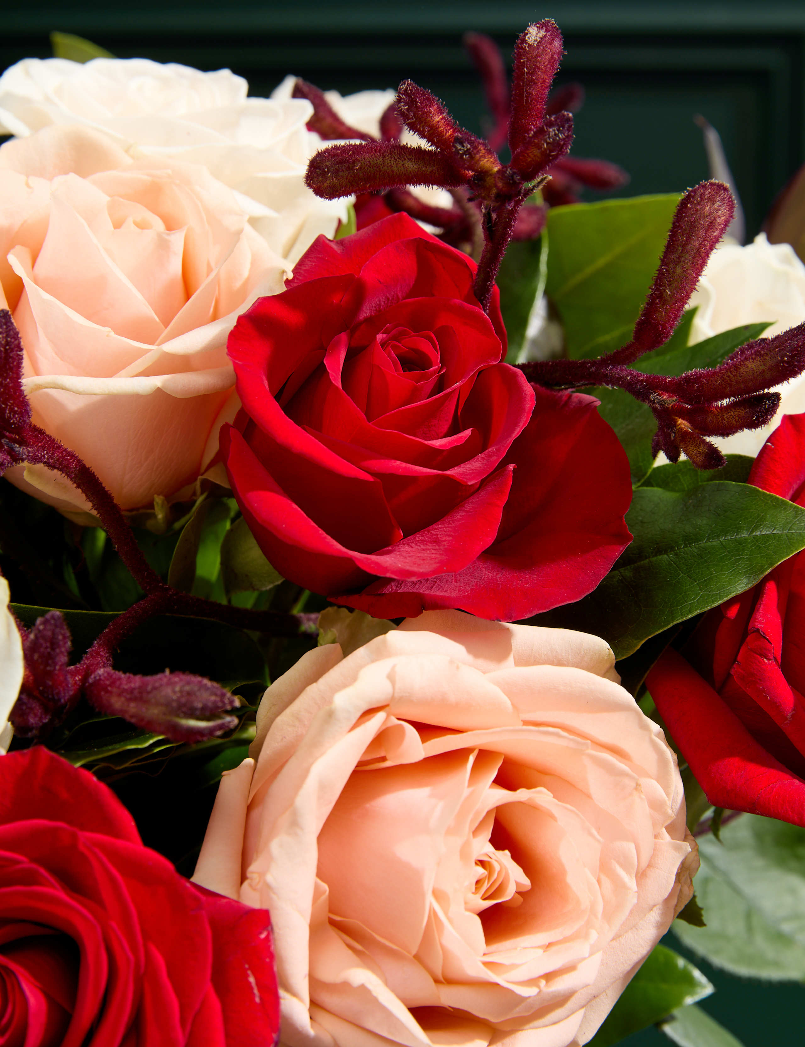 Rose & Kangaroo Paw Bouquet 3 of 5