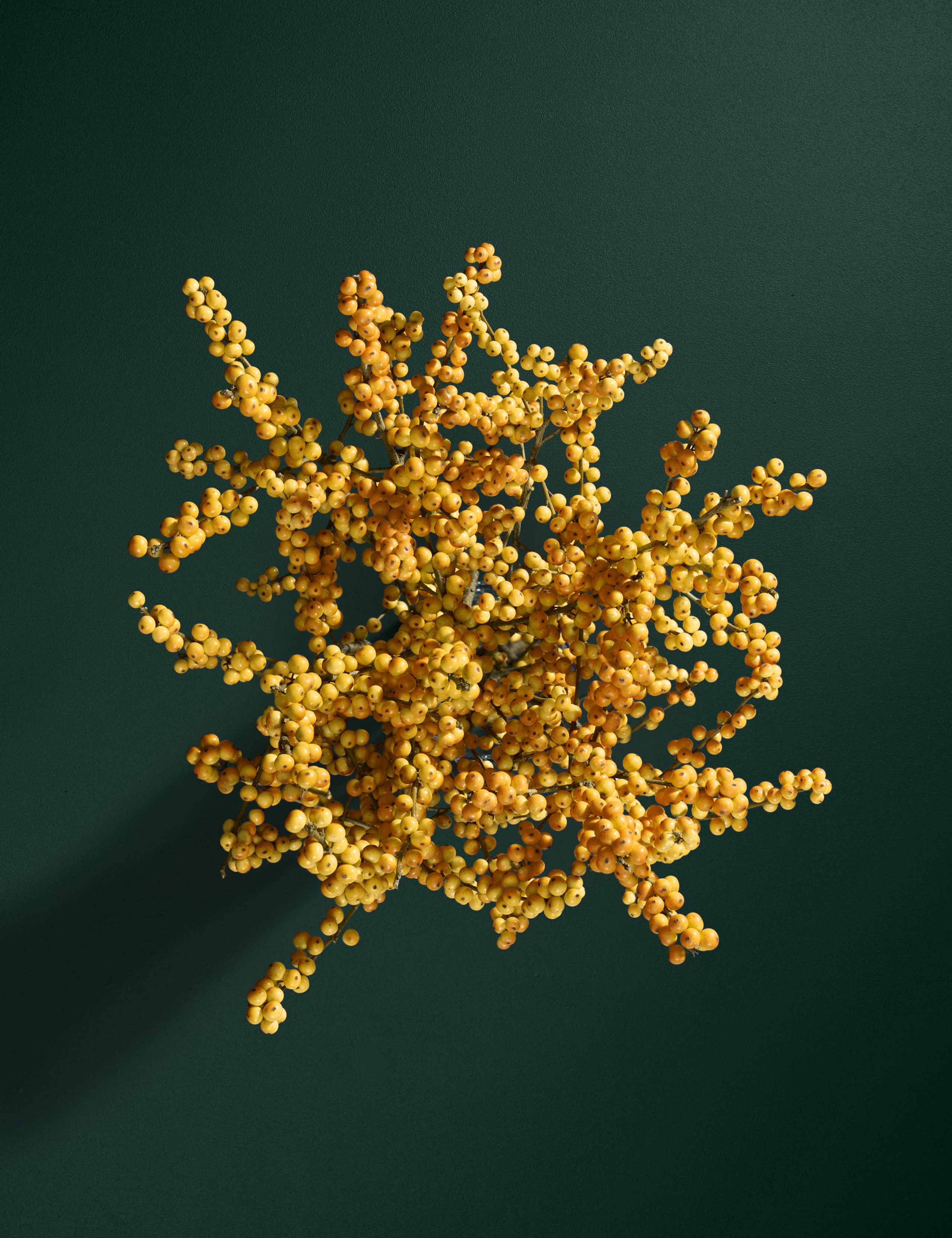 Yellow Ilex Bouquet 2 of 6