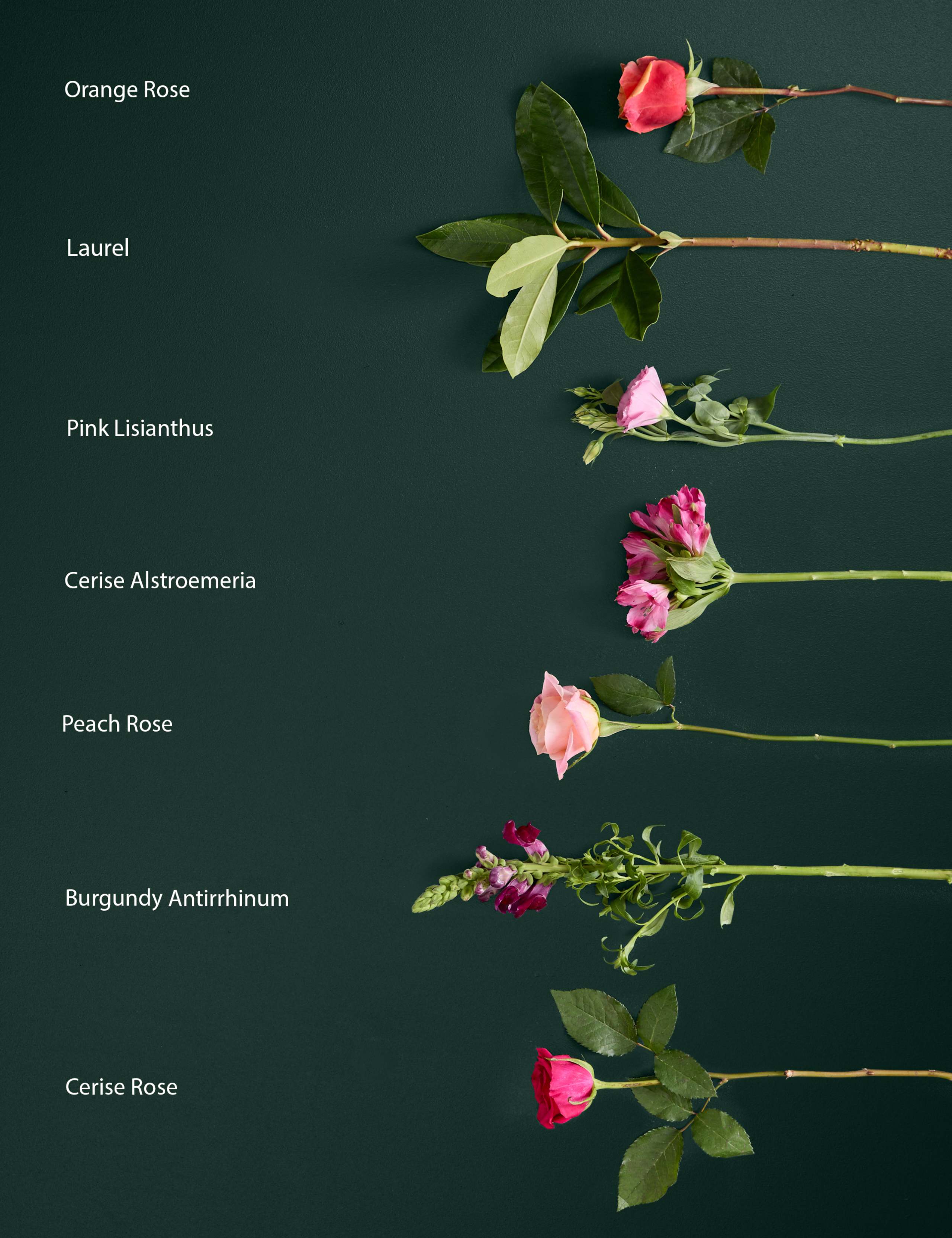 Roses, Lisianthus & Antirrhinum Bouquet with Chocolates & Vintage Champagne (Delivery from 28th September) 6 of 7