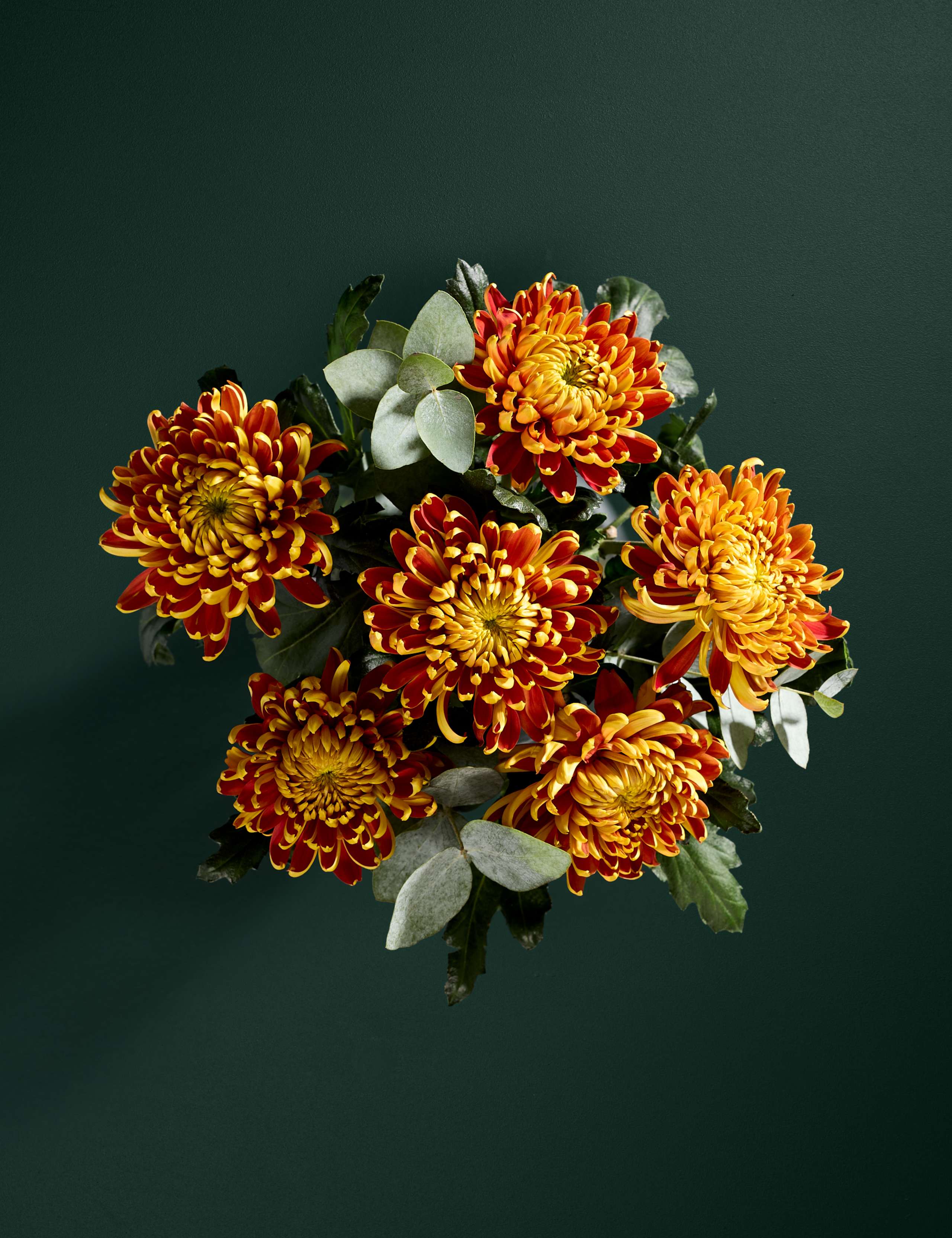 Fuego Blooms Bouquet 2 of 3