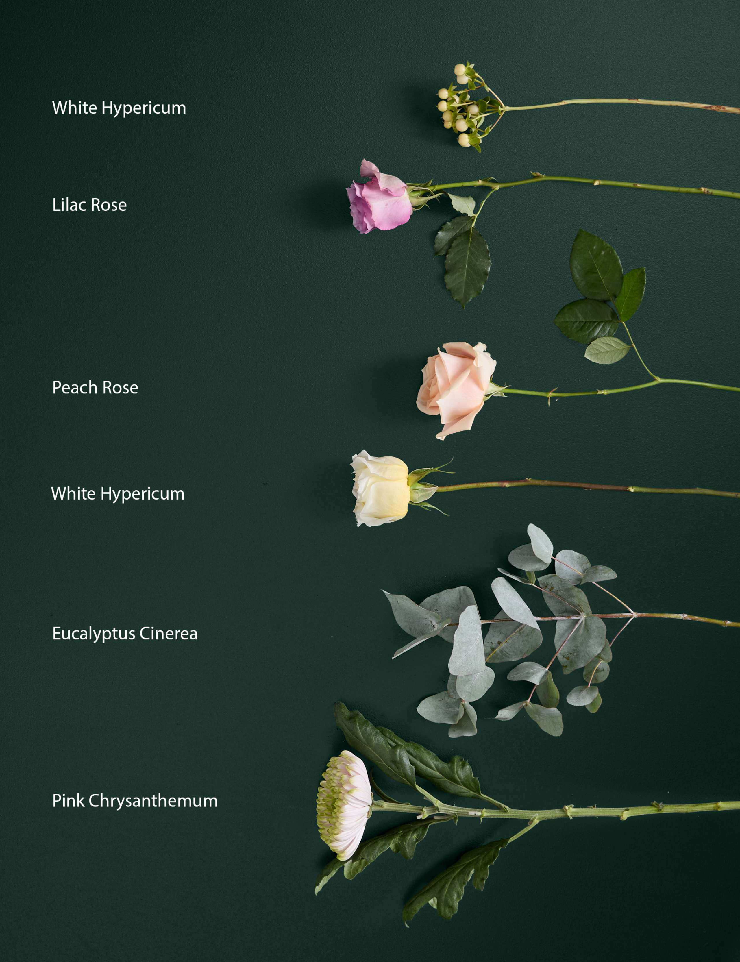 Chrysanthemum, Rose & Hypericum Bouquet 4 of 5