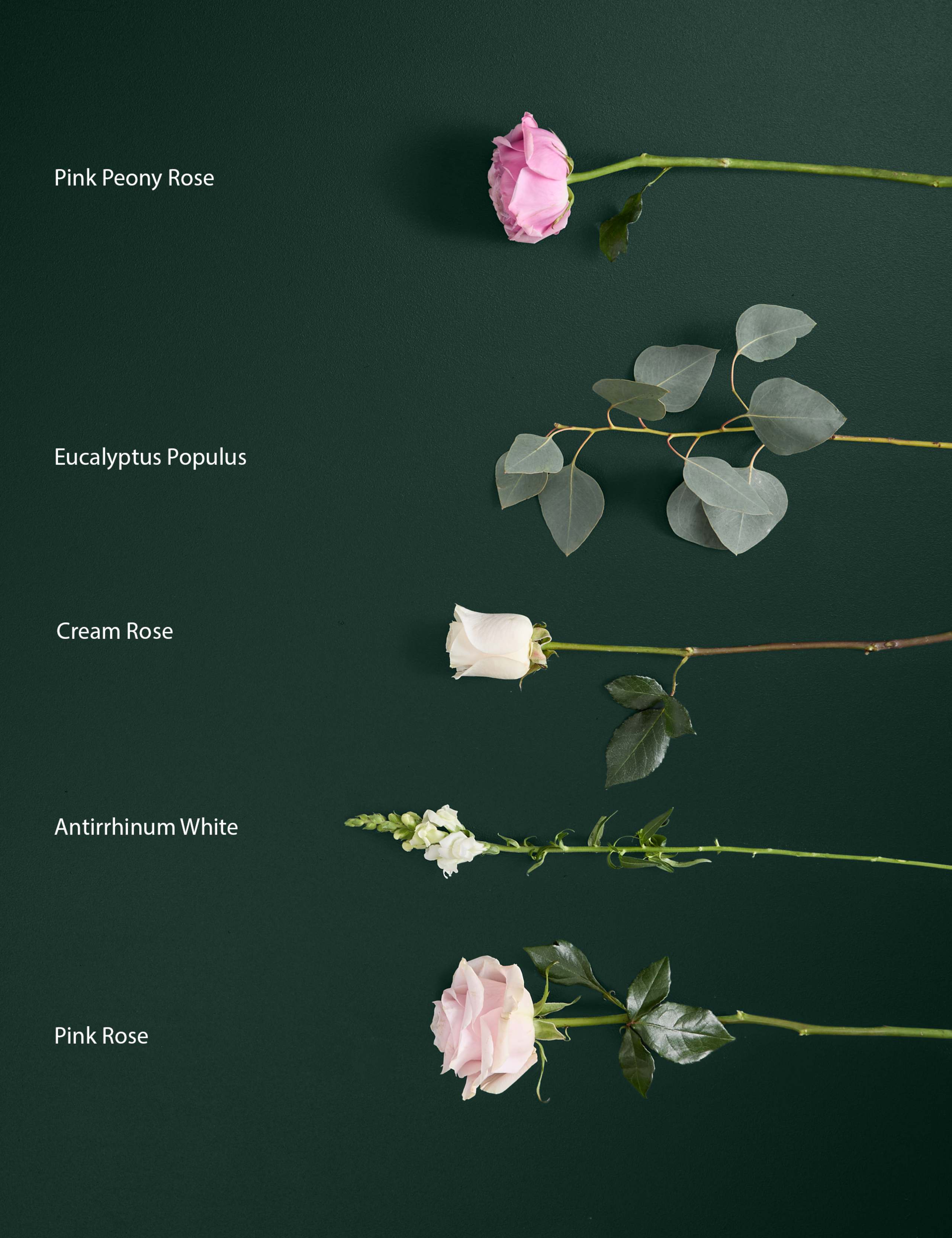 Peony Rose™ Bouquet 4 of 5